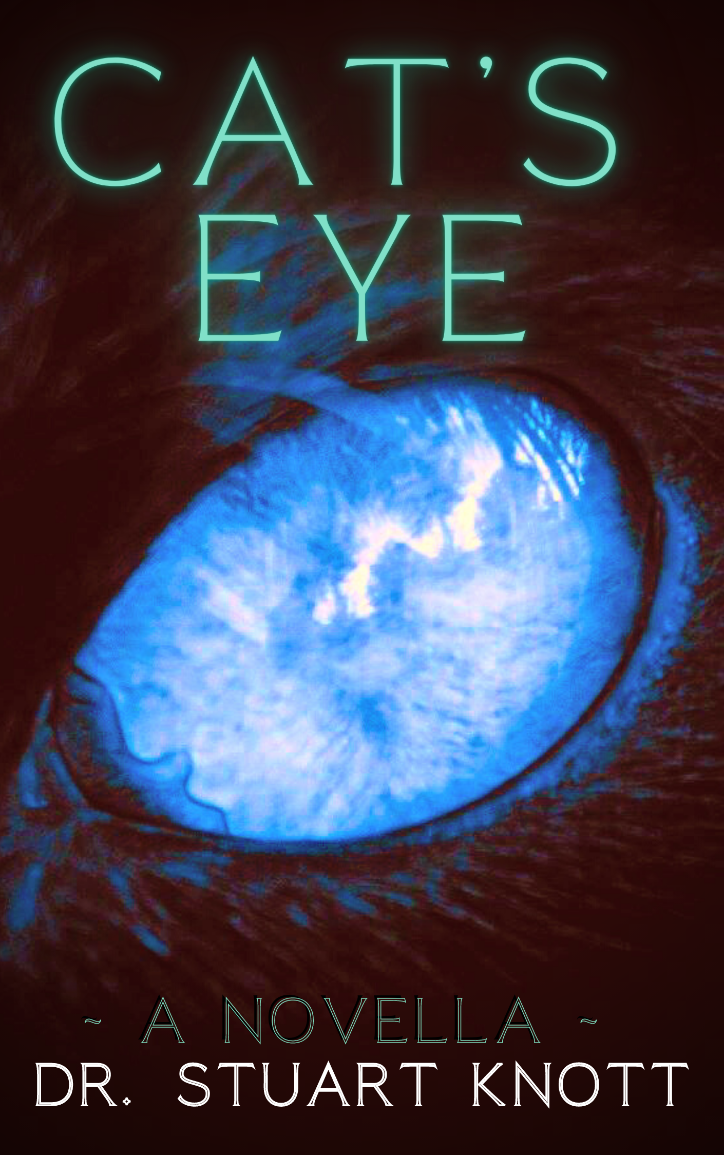 Cat's Eye book cover