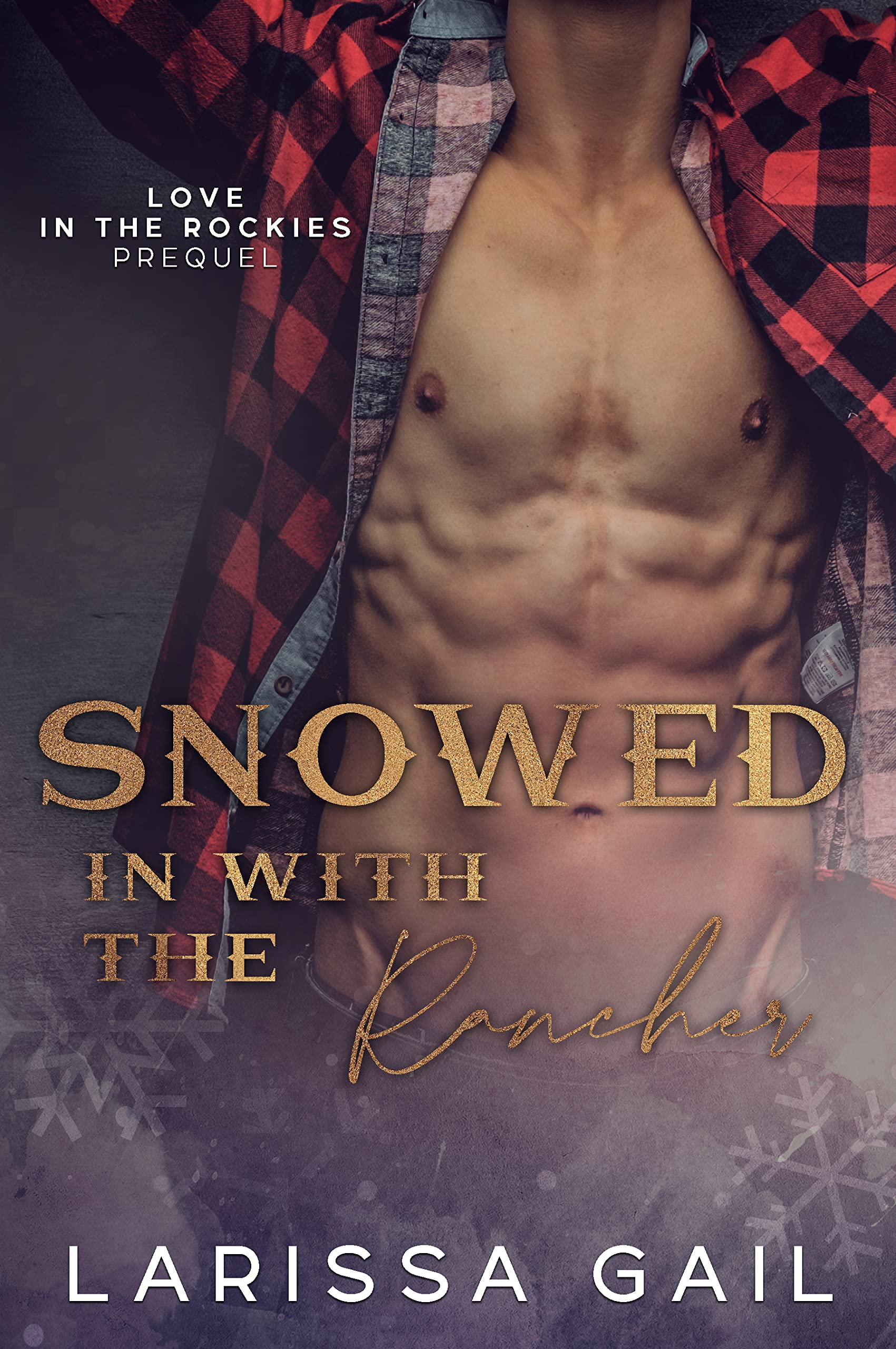 Snowed in with the Rancher book cover