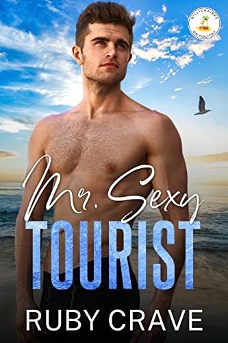 Mr. Sexy Tourist book cover