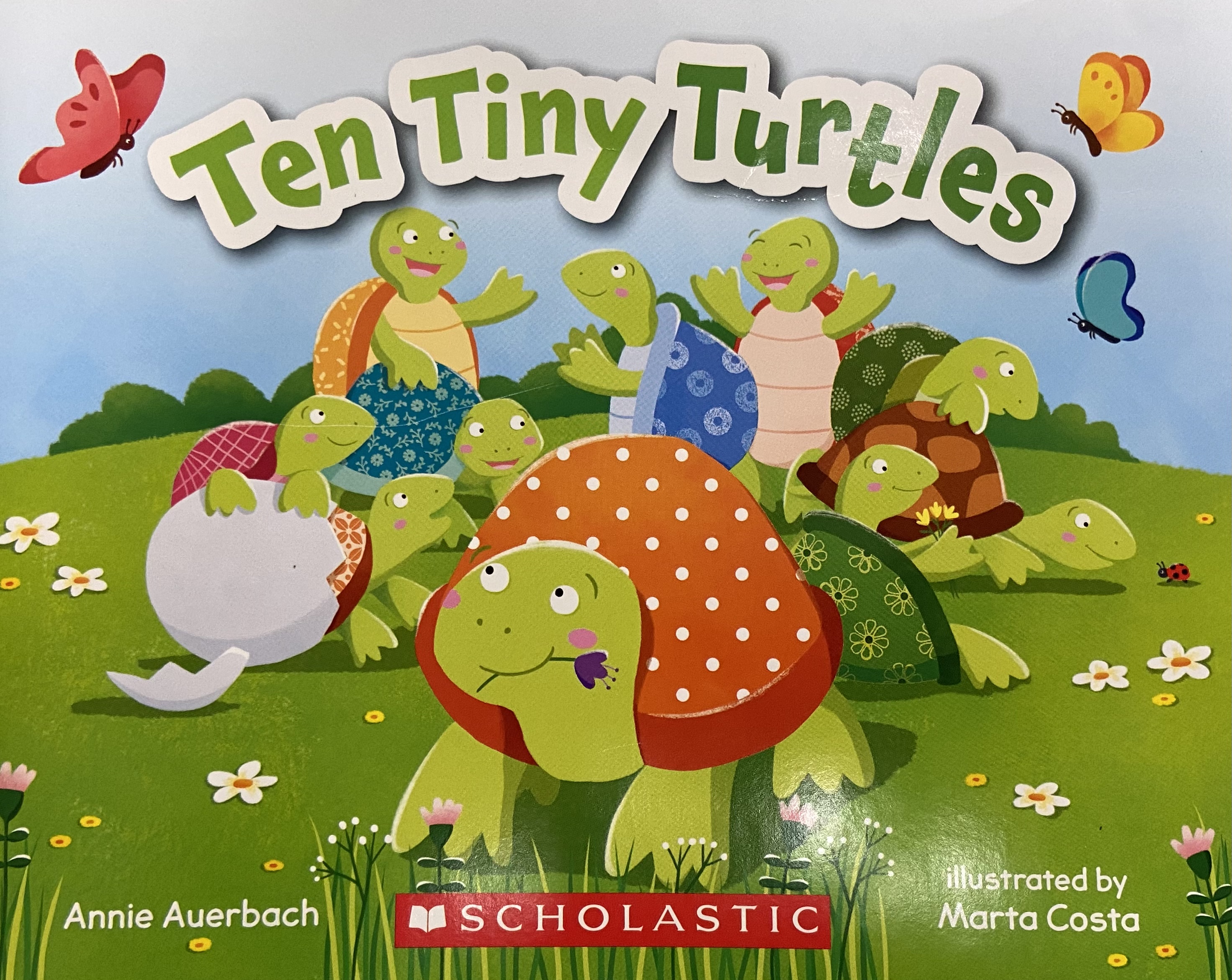 Ten Tiny Turtles by Annie Auerbach Goodreads