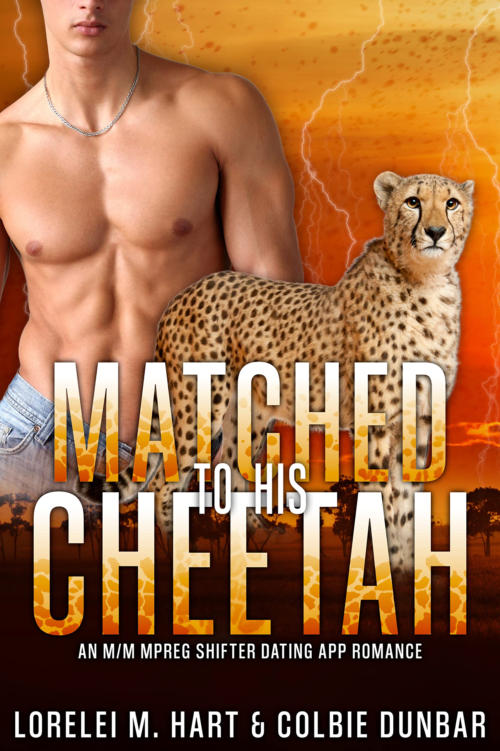 Matched to His Cheetah book cover