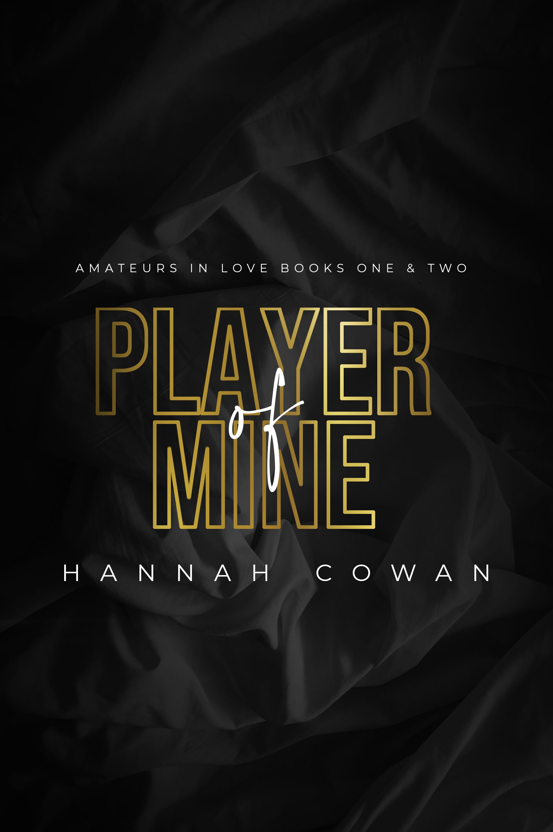 Player of Mine book cover