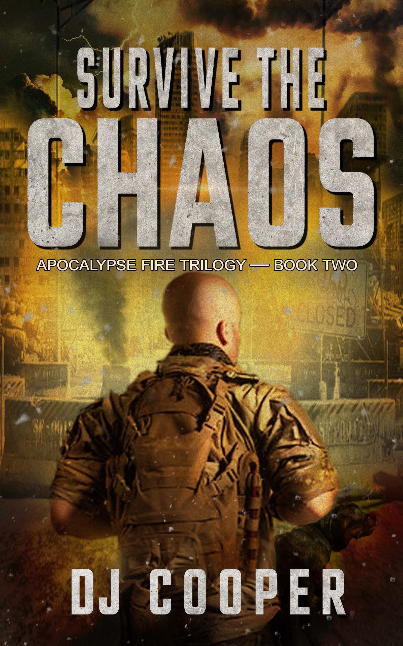 Survive the Chaos book cover