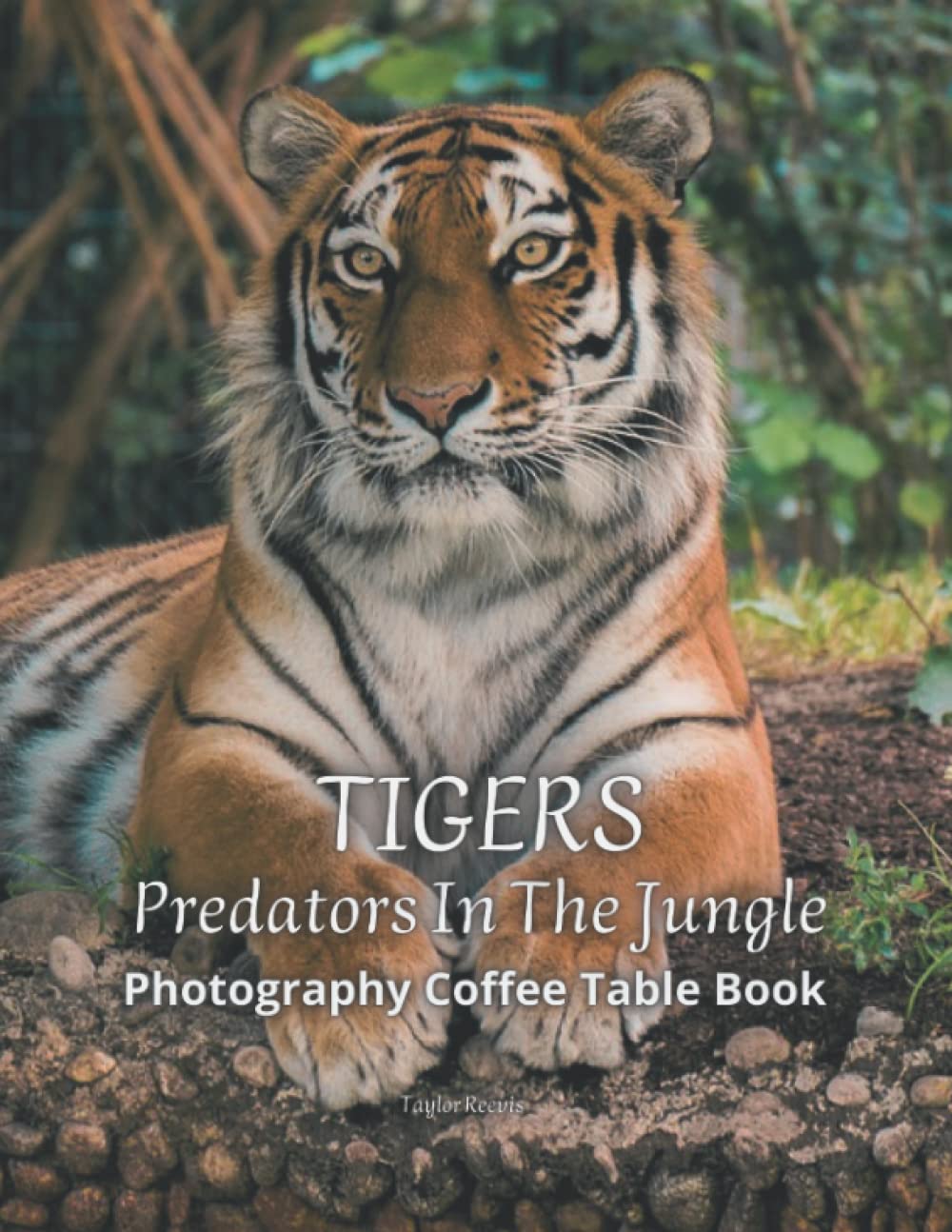 Tigers Predators In The Jungle Photography Coffee Table Book For