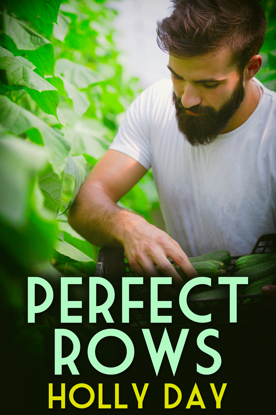 Perfect Rows book cover