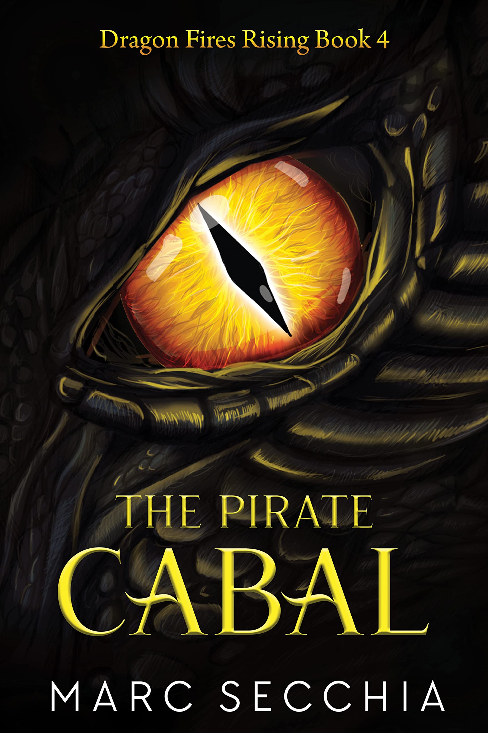 The Pirate Cabal
