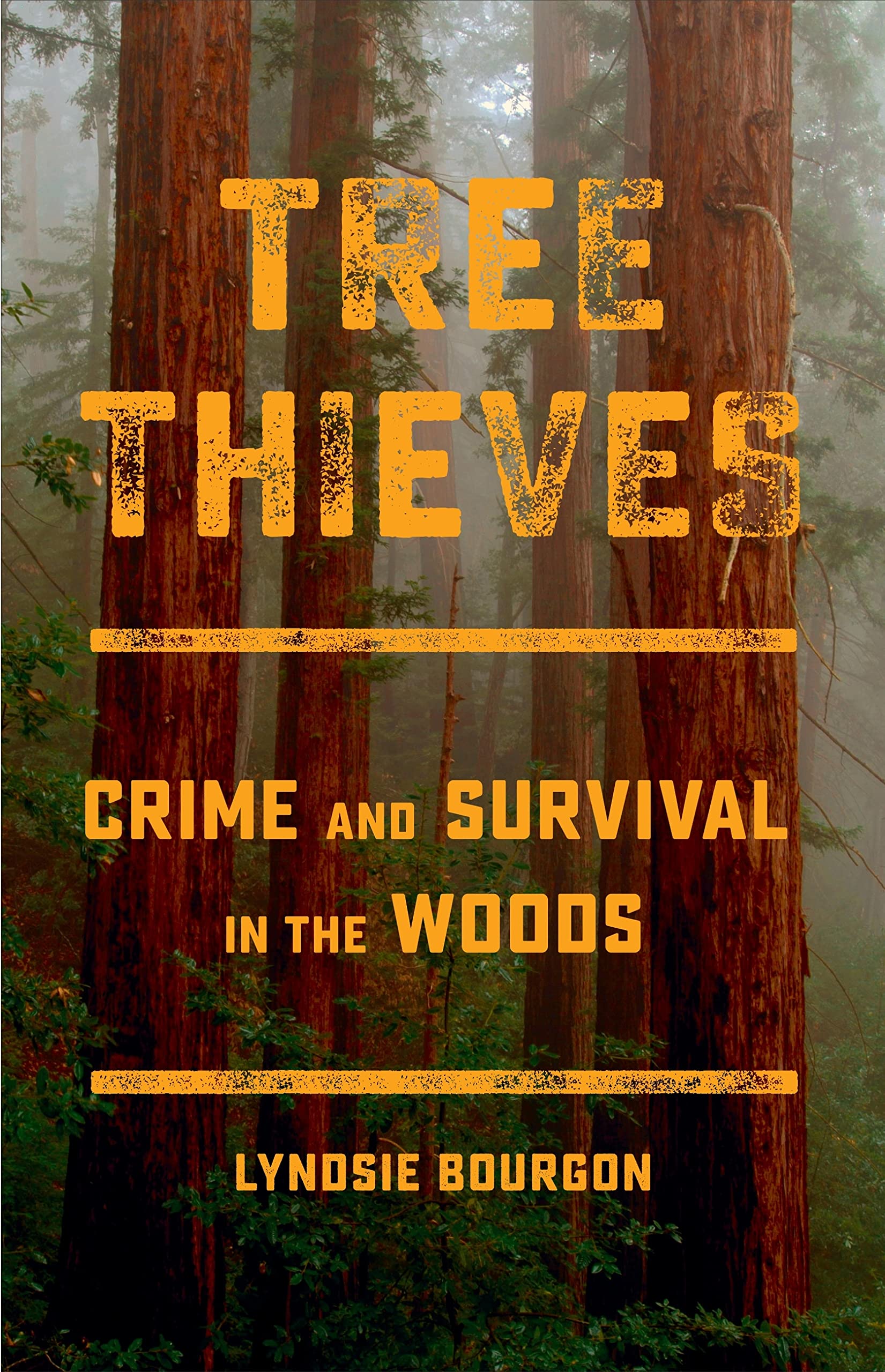 Tree Thieves Crime and Survival in the Woods by Lyndsie Bourgon