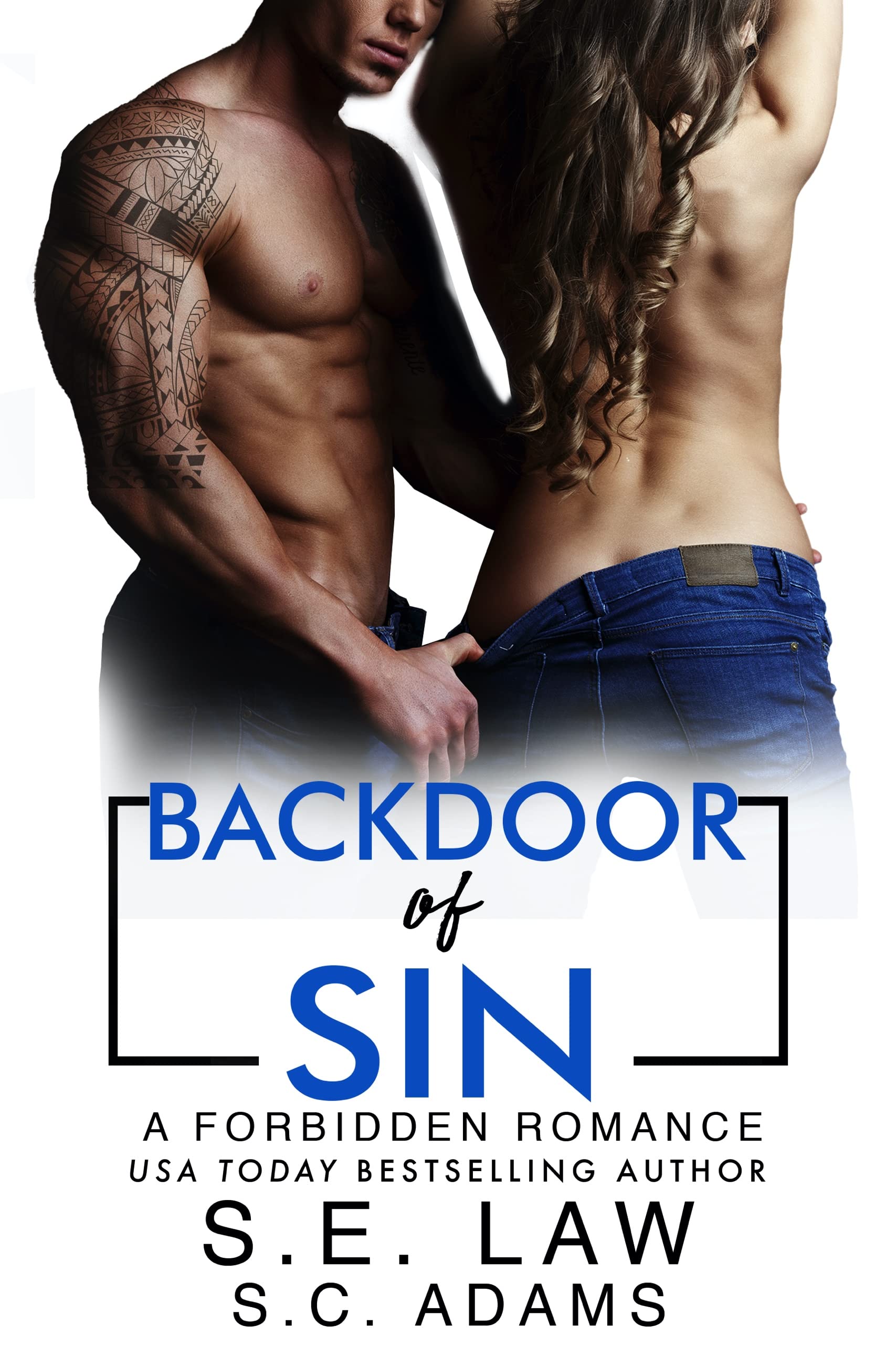 Backdoor of Sin book cover