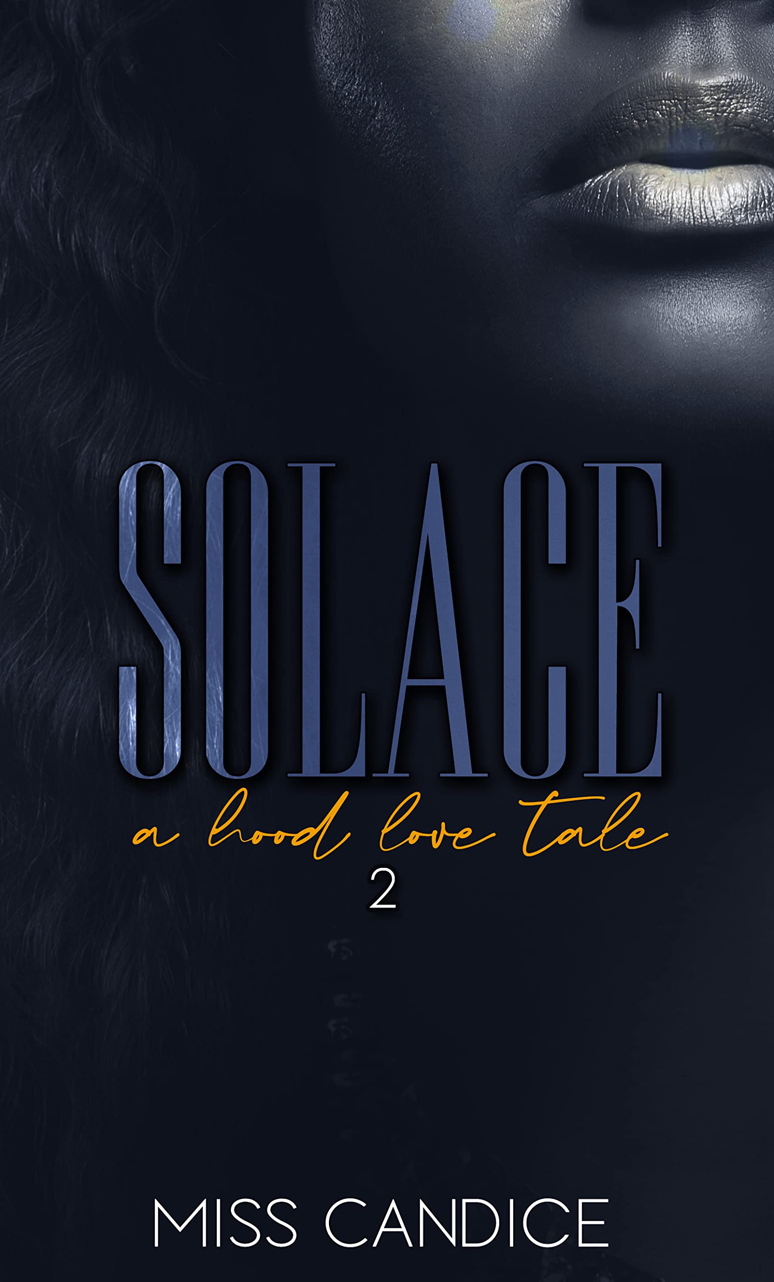 Solace 2 book cover