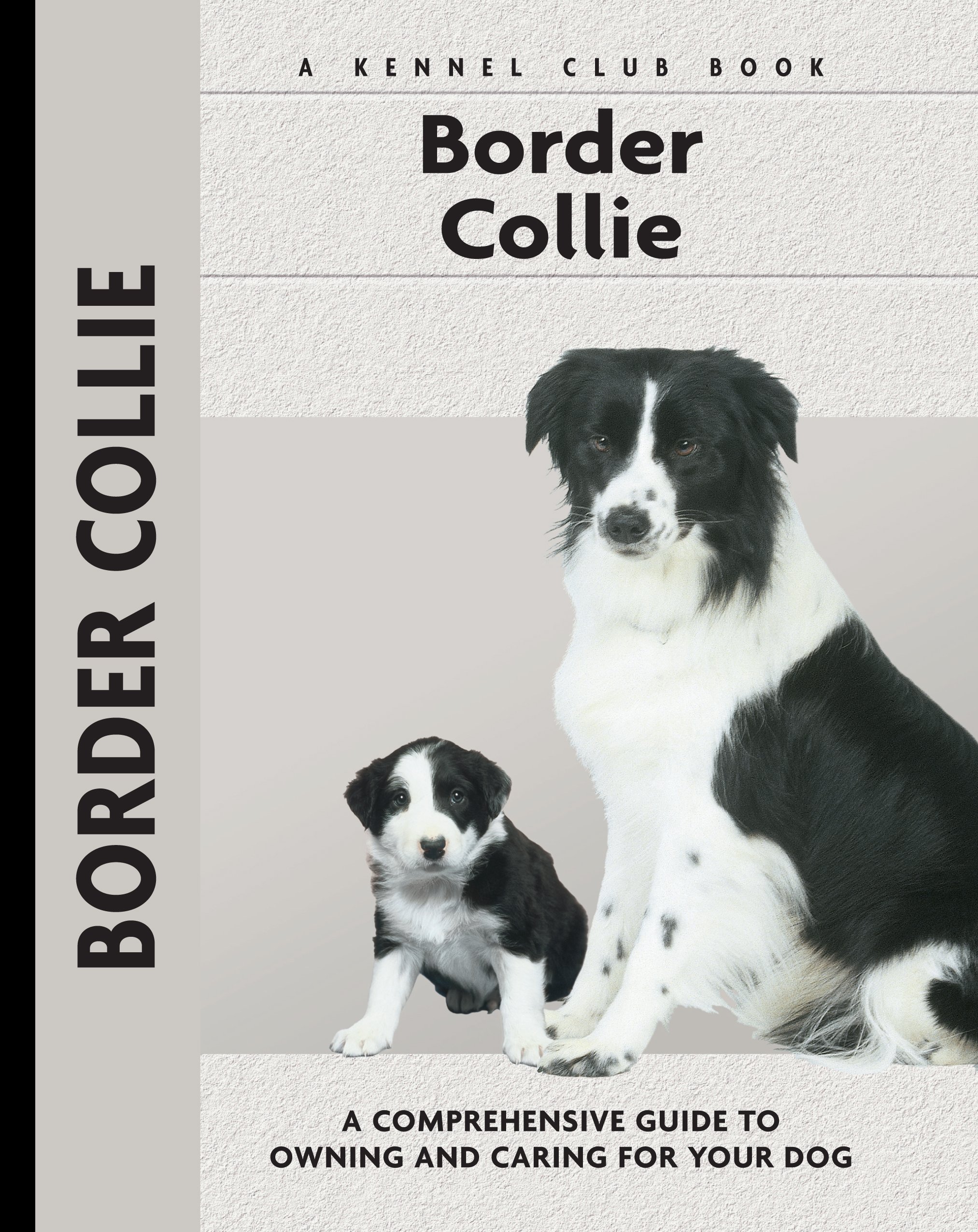 Border Collie Owner's Guide Book 57) by Stephen Sussam