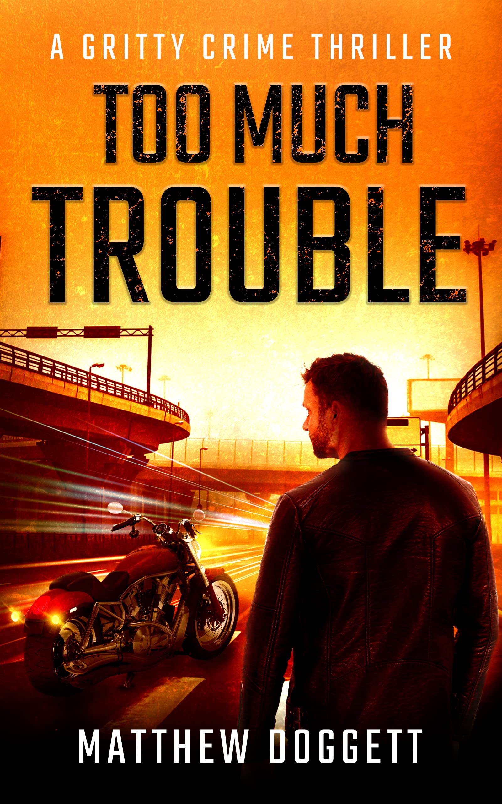 Too Much Trouble: A Gritty Crime Thriller