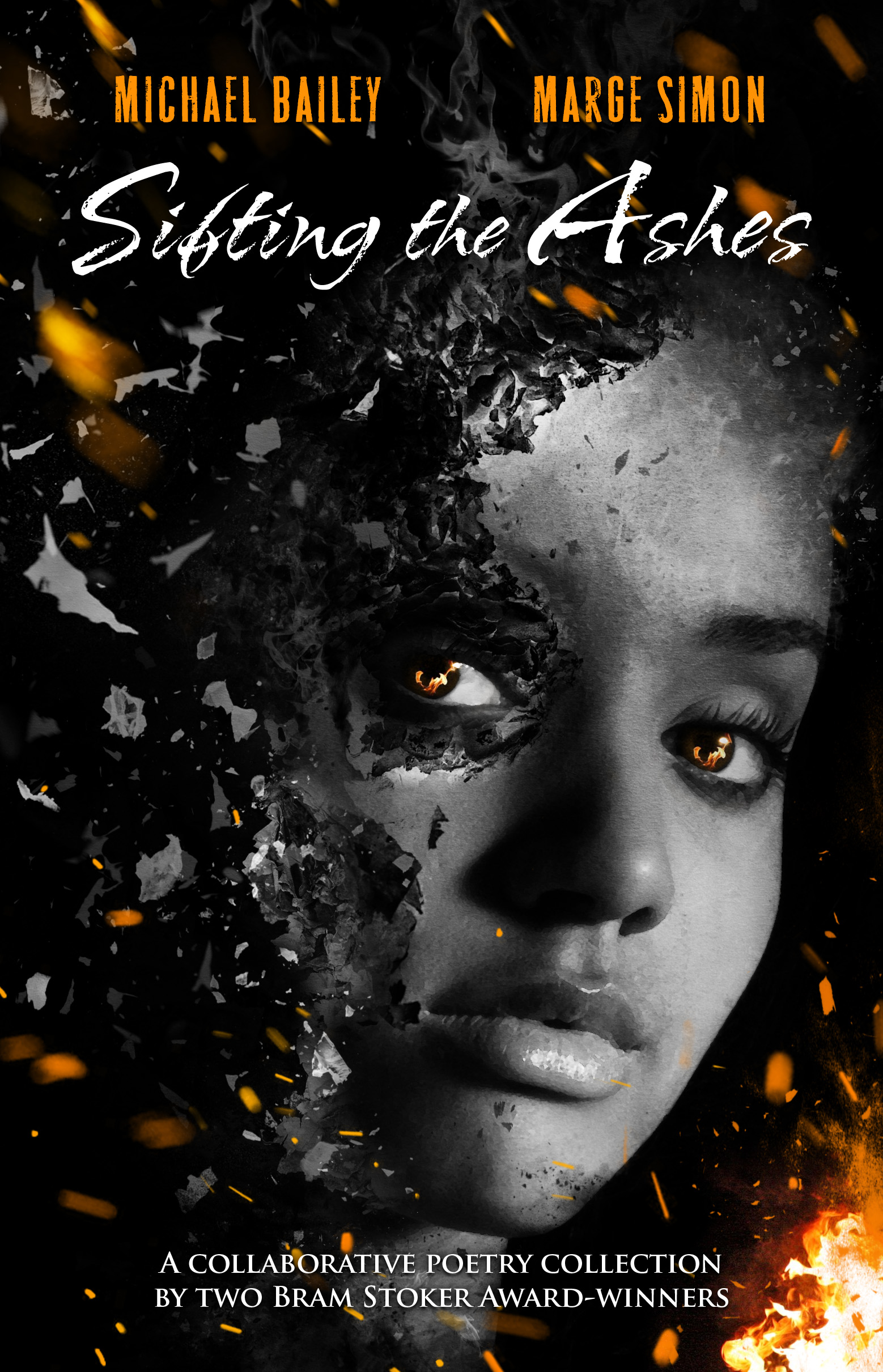 Sifting the Ashes book cover
