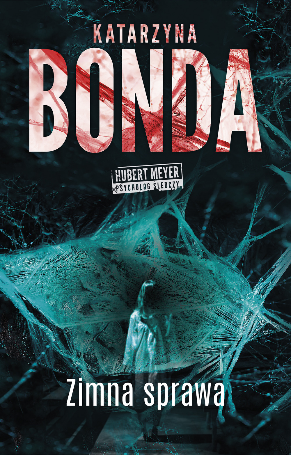 Zimna sprawa book cover