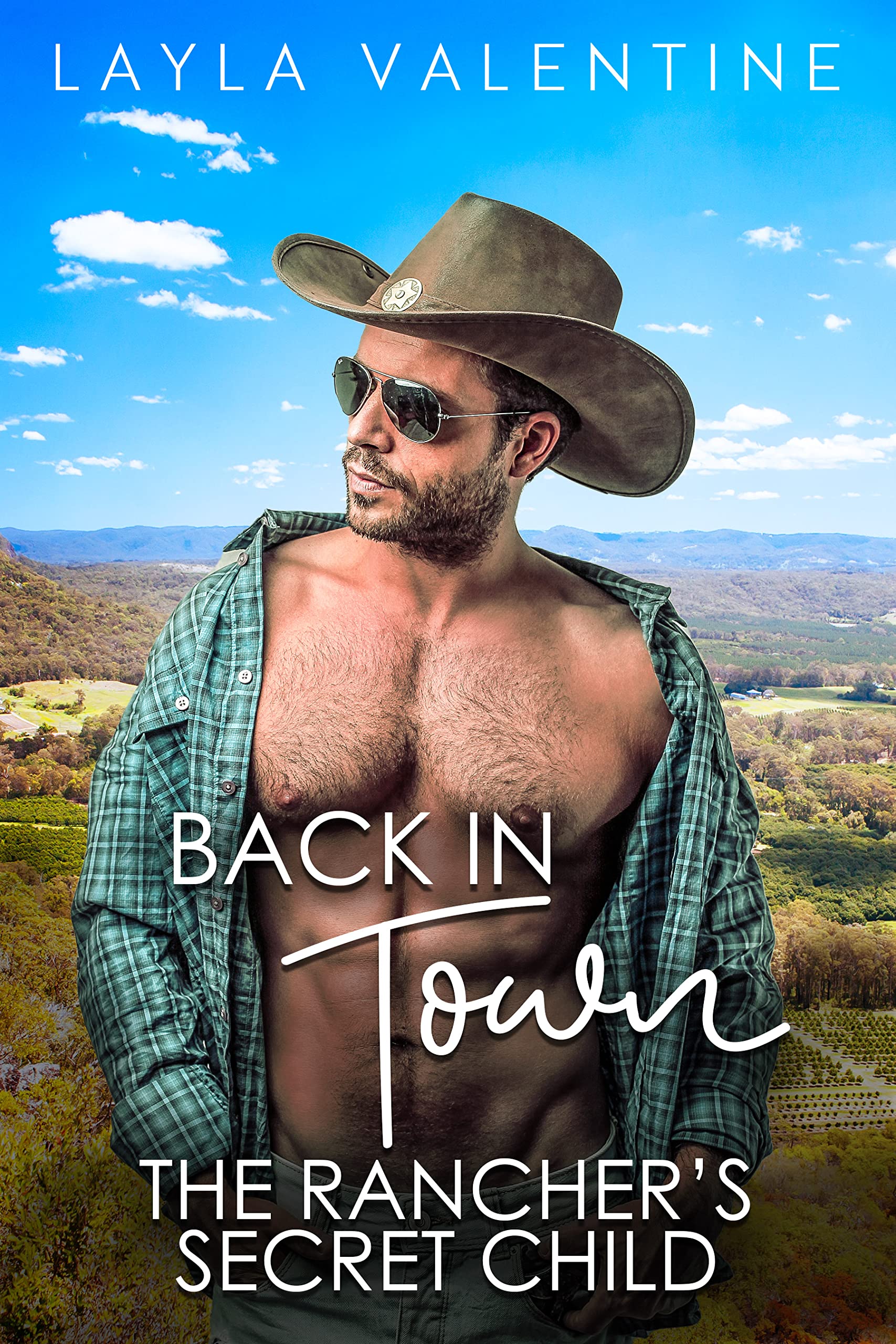 Back In Town book cover