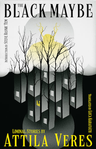 The Black Maybe: Liminal Tales