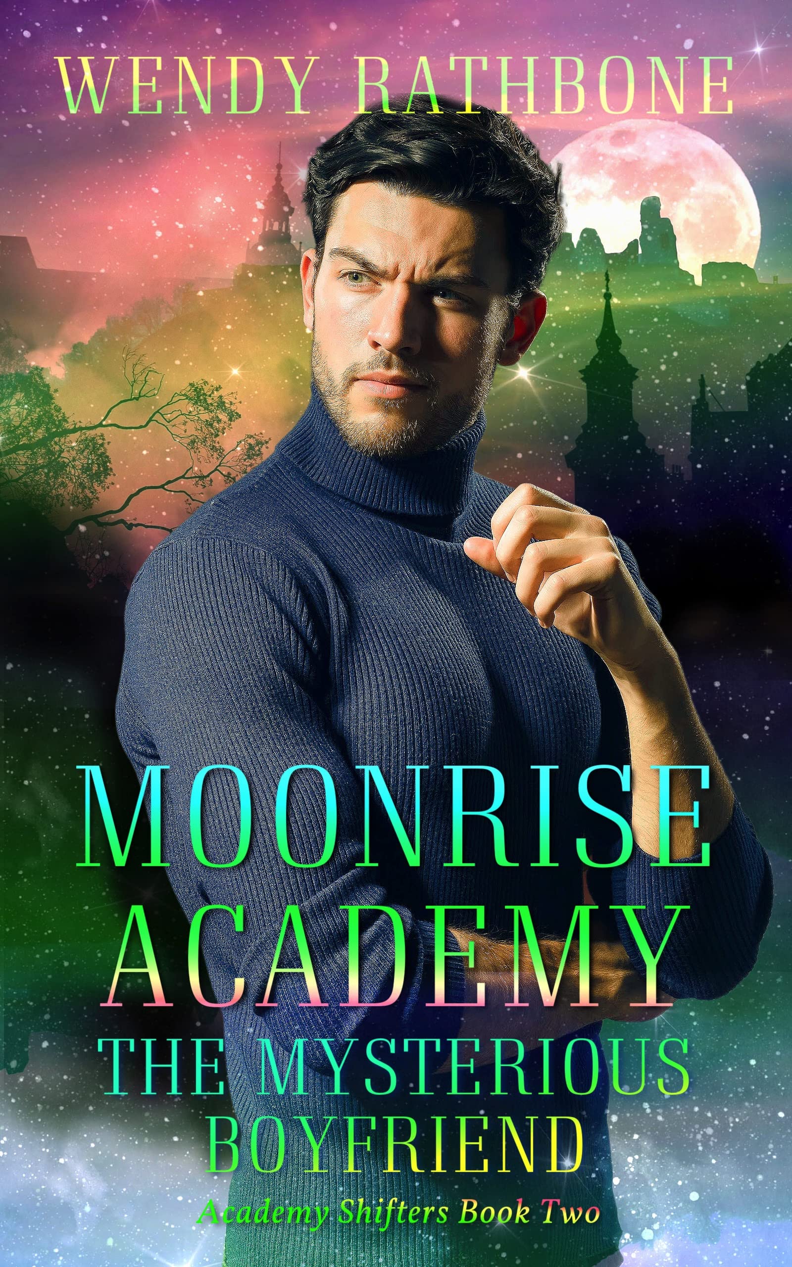 The Mysterious Boyfriend book cover