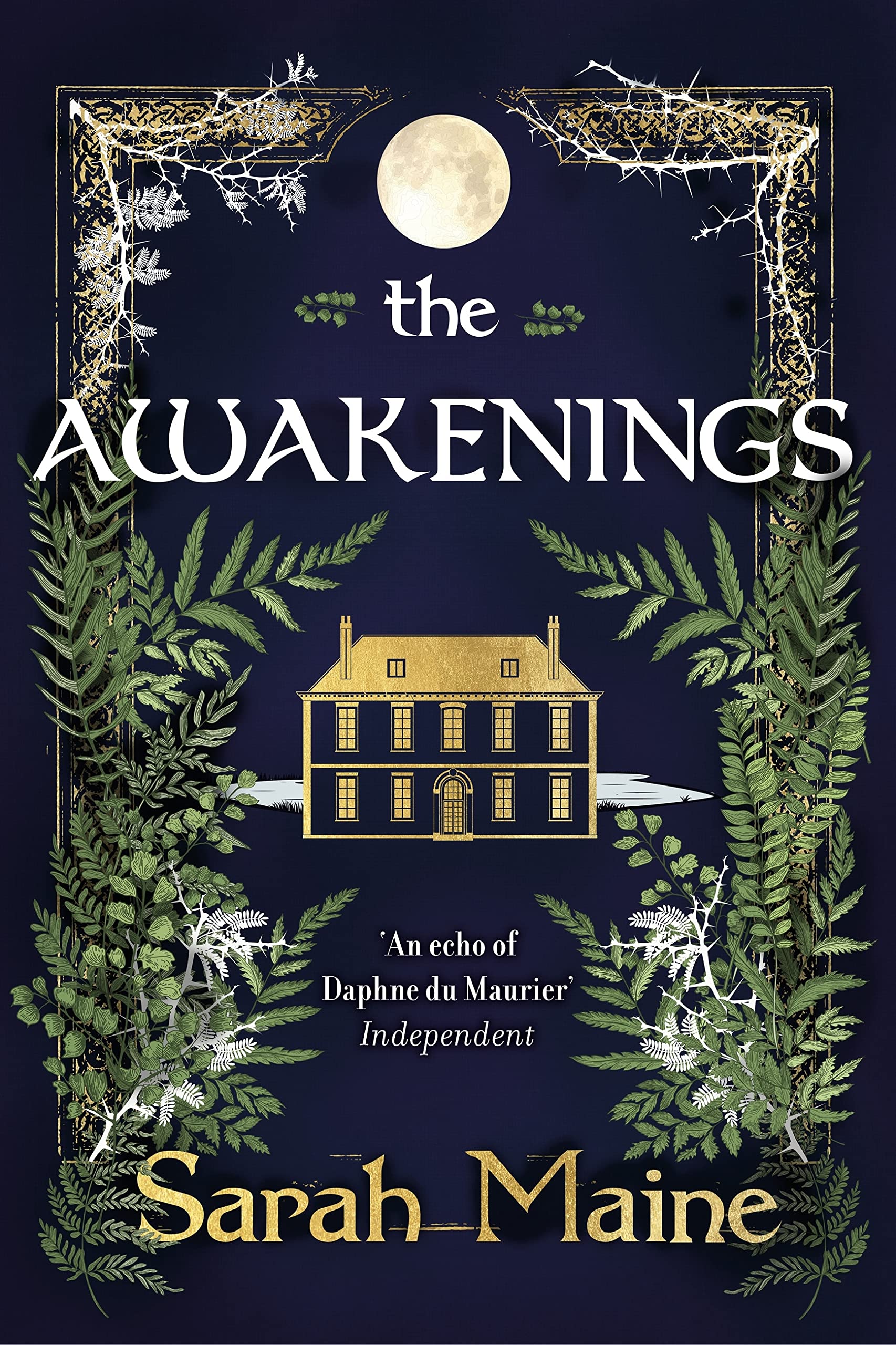 The Awakenings book cover