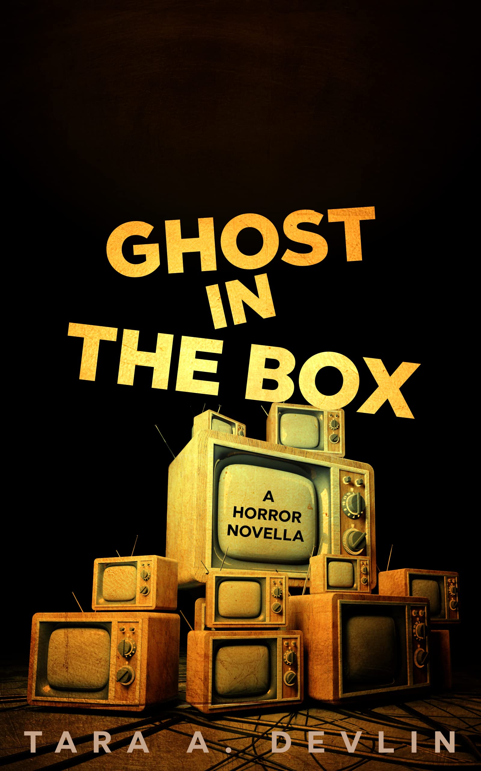 Ghost in the Box book cover