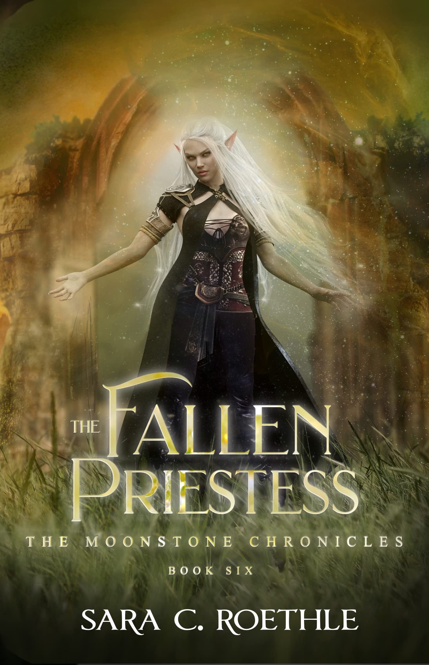 The Fallen Priestess book cover