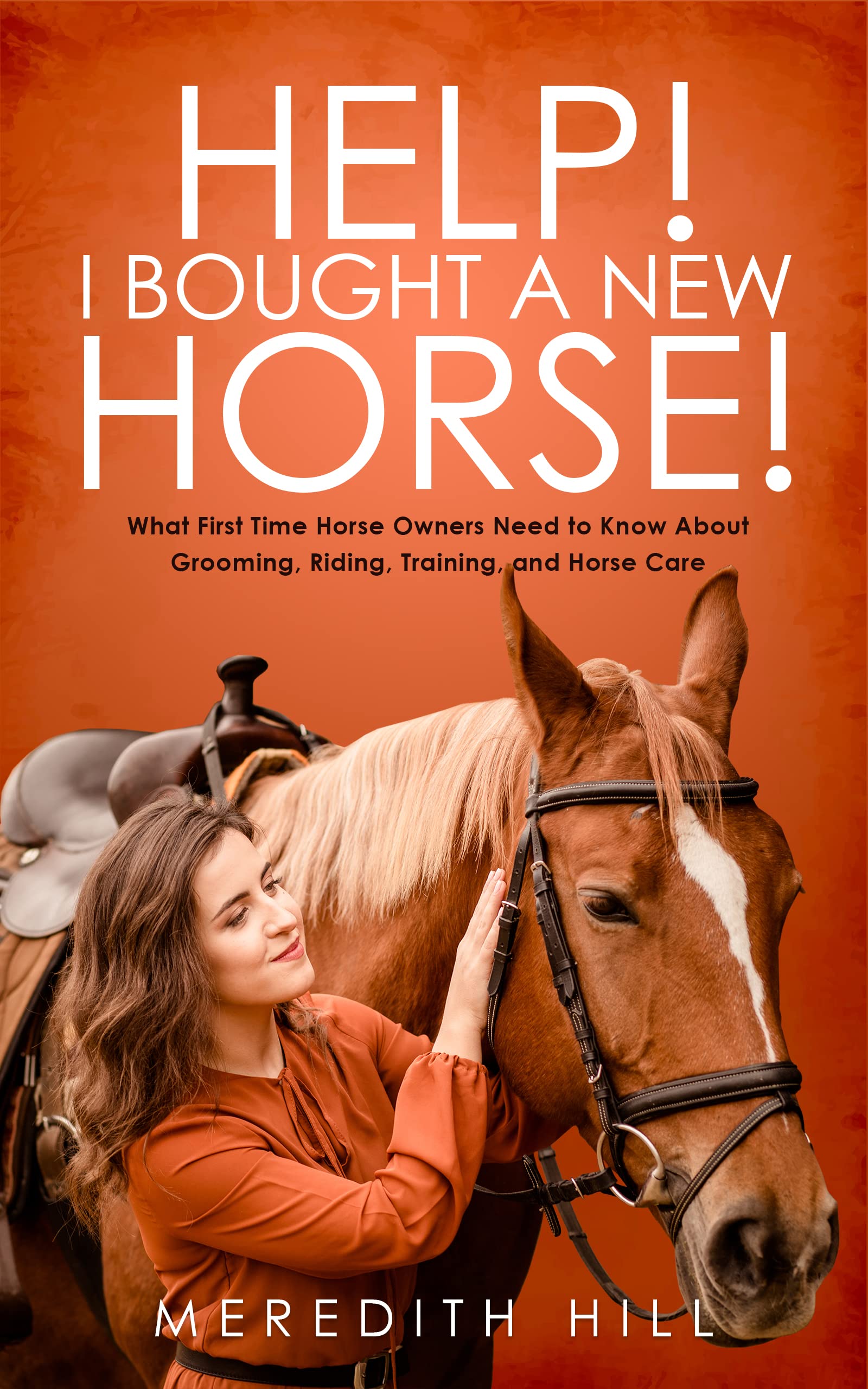 Help! I Bought a New Horse book cover