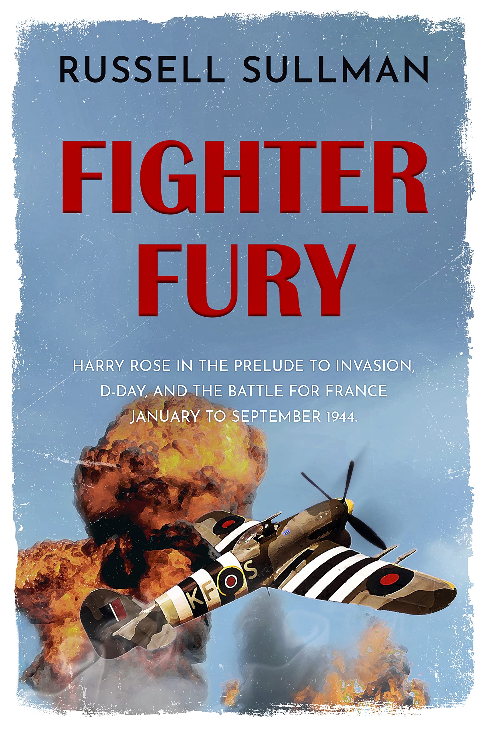 Fighter Fury