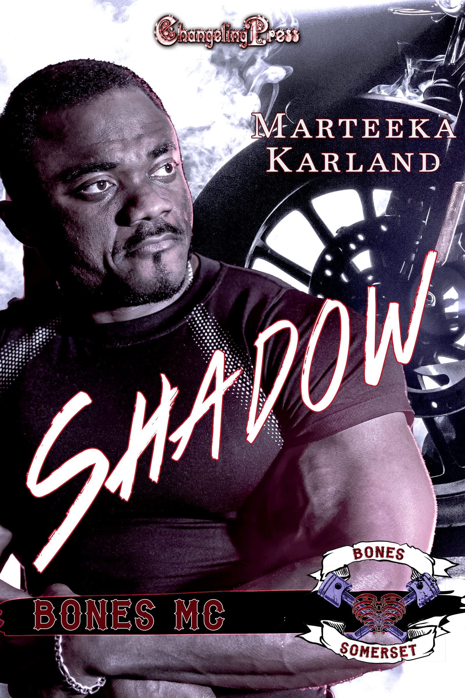 Shadow book cover