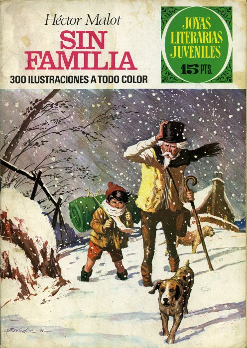 Sin familia book cover