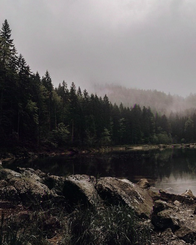Where You'd Rather Be