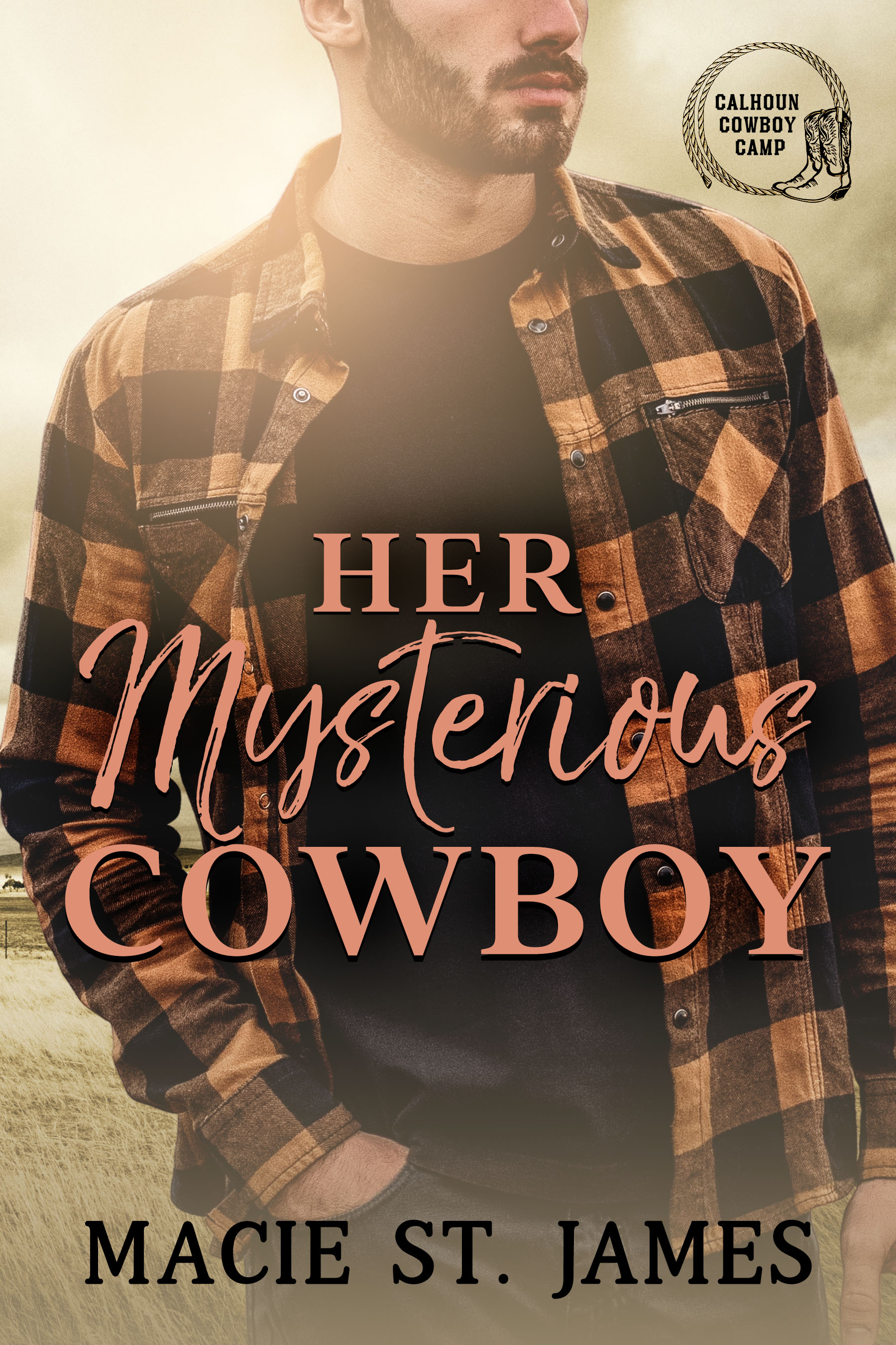 Her Mysterious Cowboy book cover