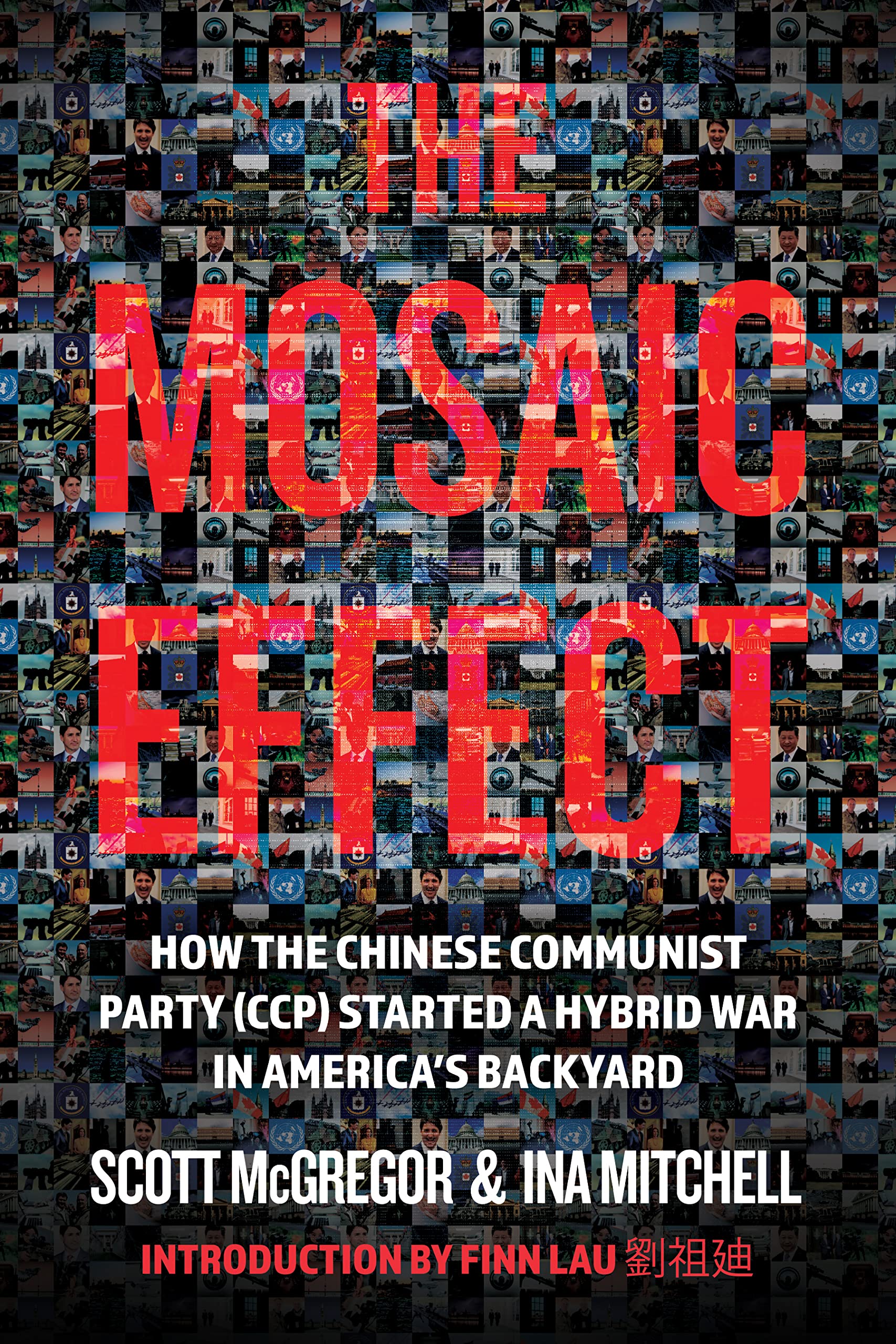 The Mosaic Effect book cover