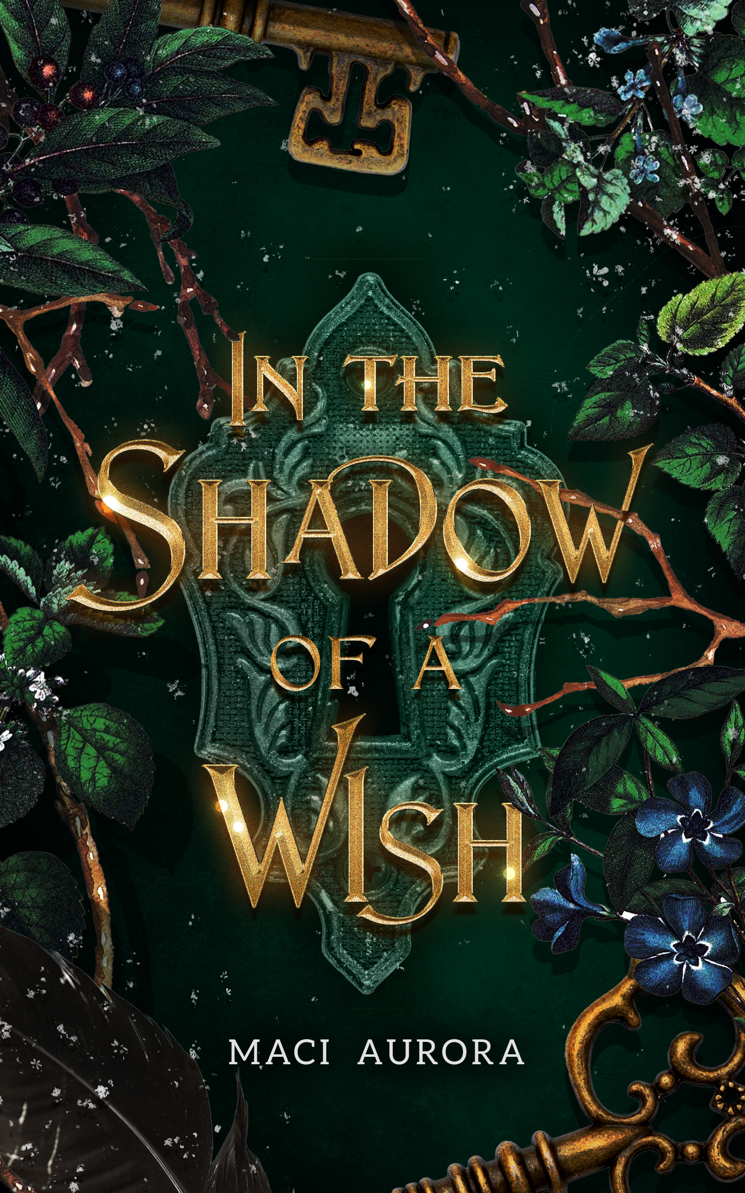In the Shadow of a Wish  (Fareview Fairy Tale #1)