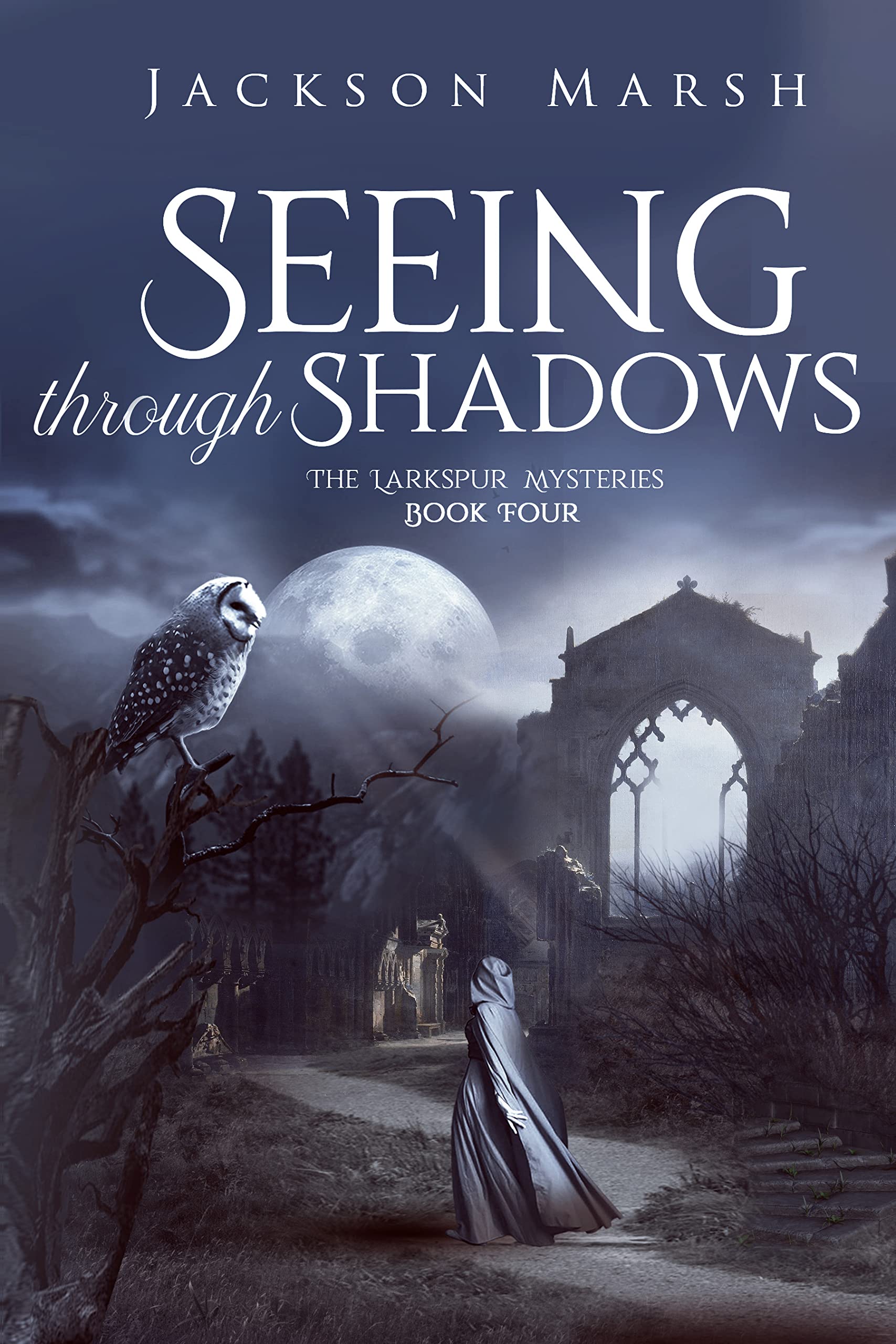 Seeing Through Shadows