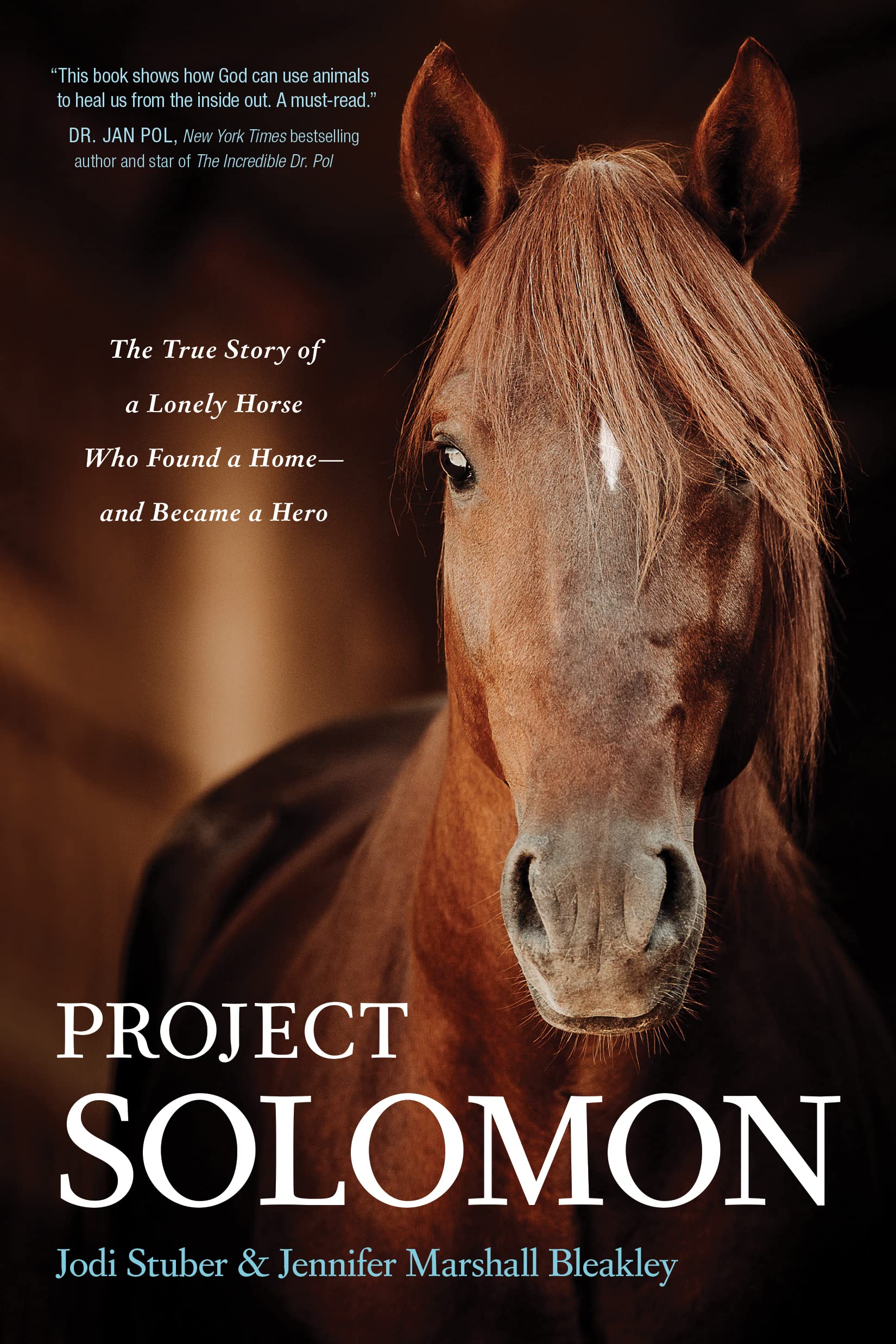 Project Solomon: The True Story of a Lonely Horse Who Found a Home—and Became a Hero