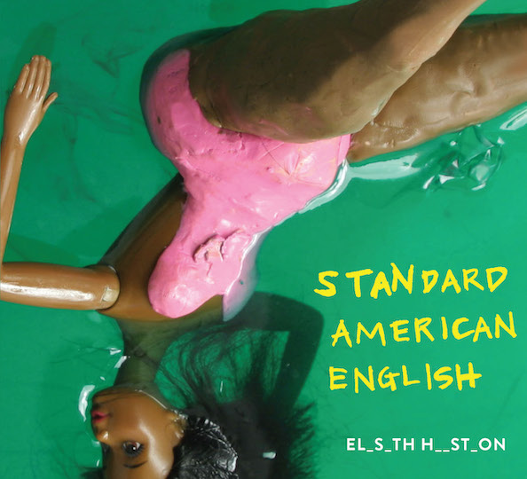 WHAT DOES STANDARD AMERICAN ENGLISH MEAN visual data 6