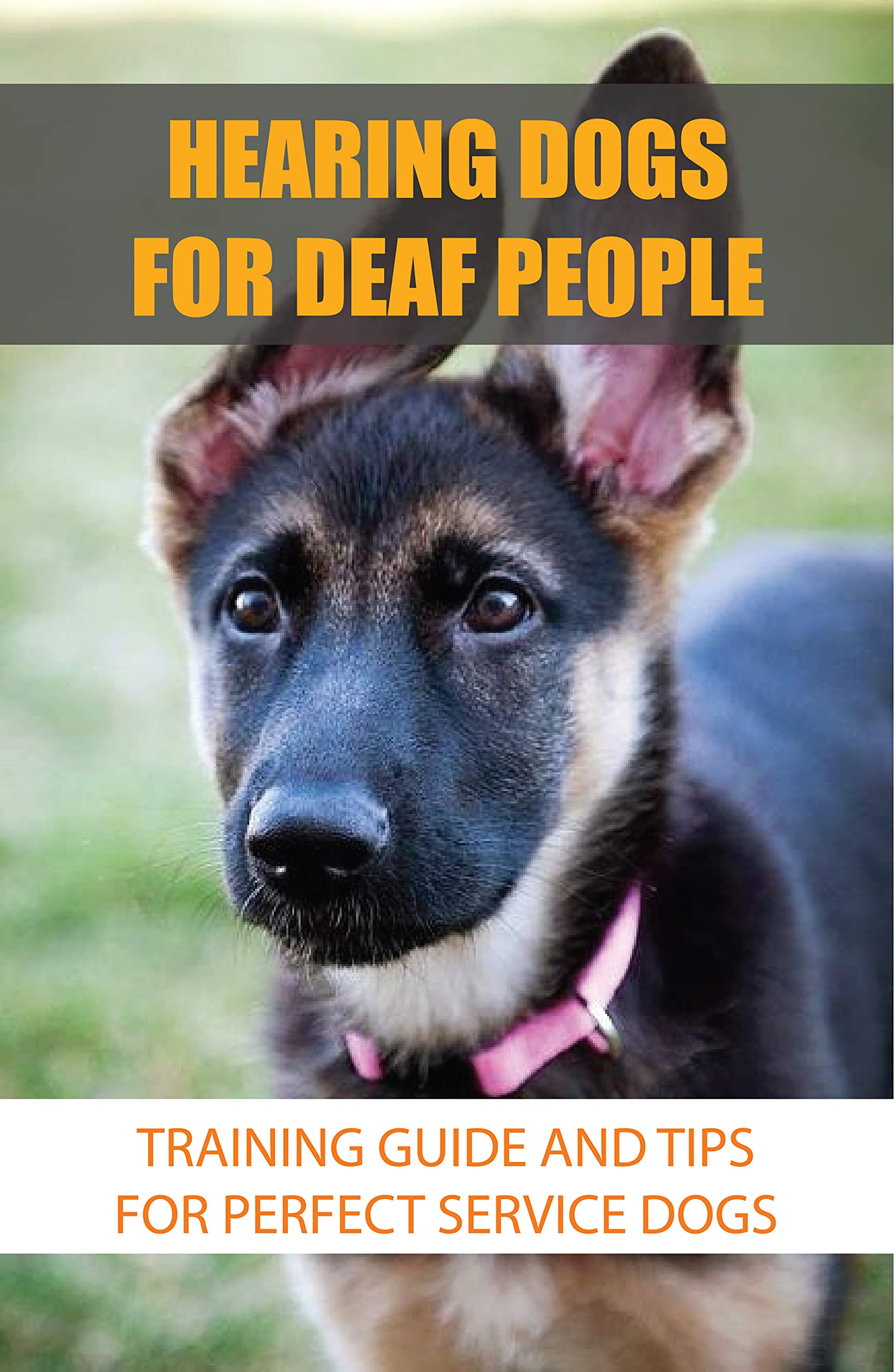 Hearing Dogs For Deaf People Training Guide And Tips For Perfect