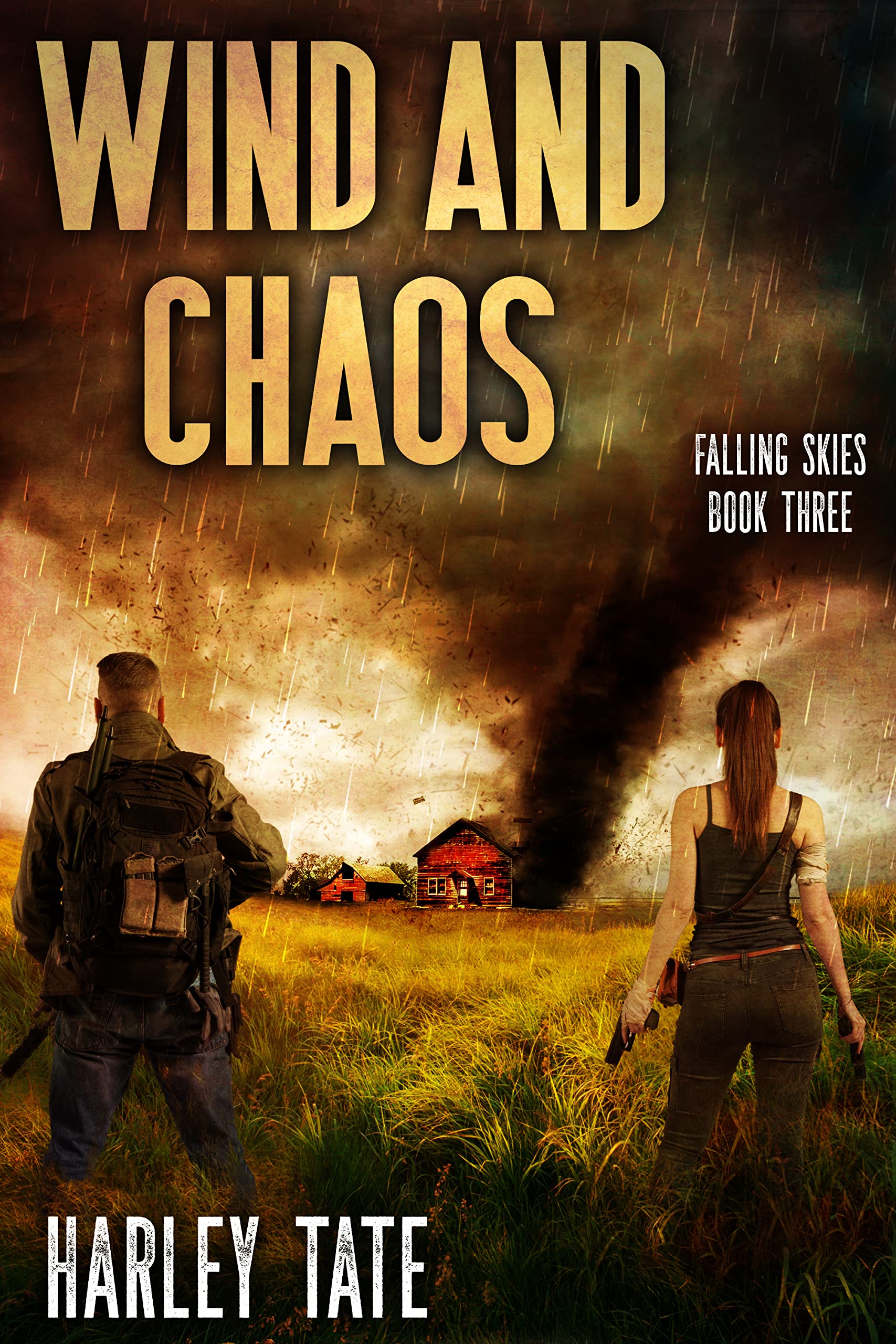 Wind and Chaos: A Post-Apocalyptic Survival Thriller