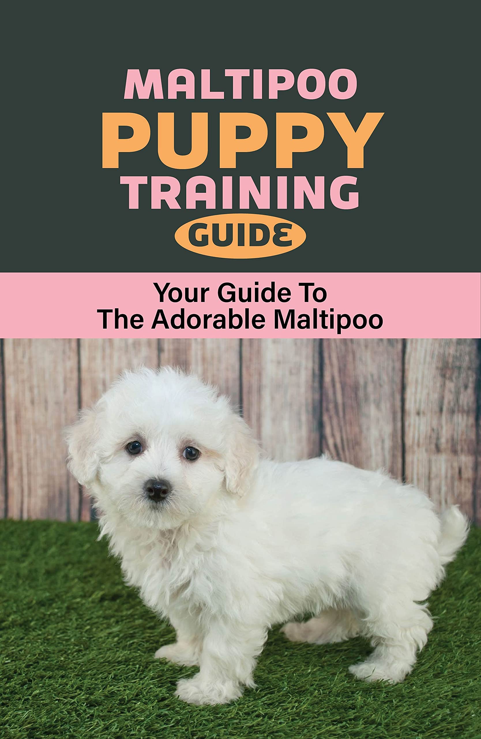 Maltipoo Puppy Training Guide Your Guide To The Adorable Maltipoo