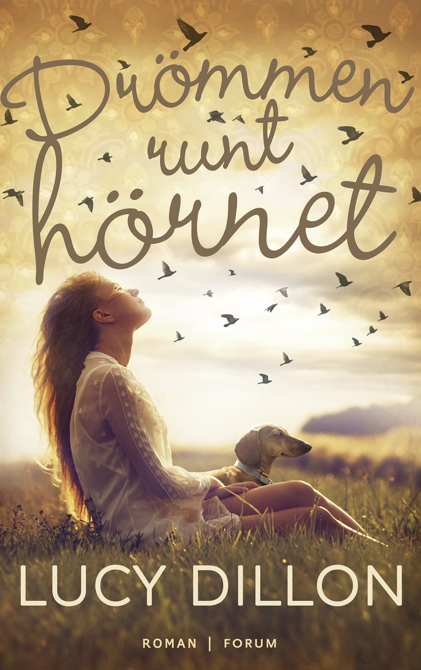 Drömmen runt hörnet by Lucy Dillon | Goodreads