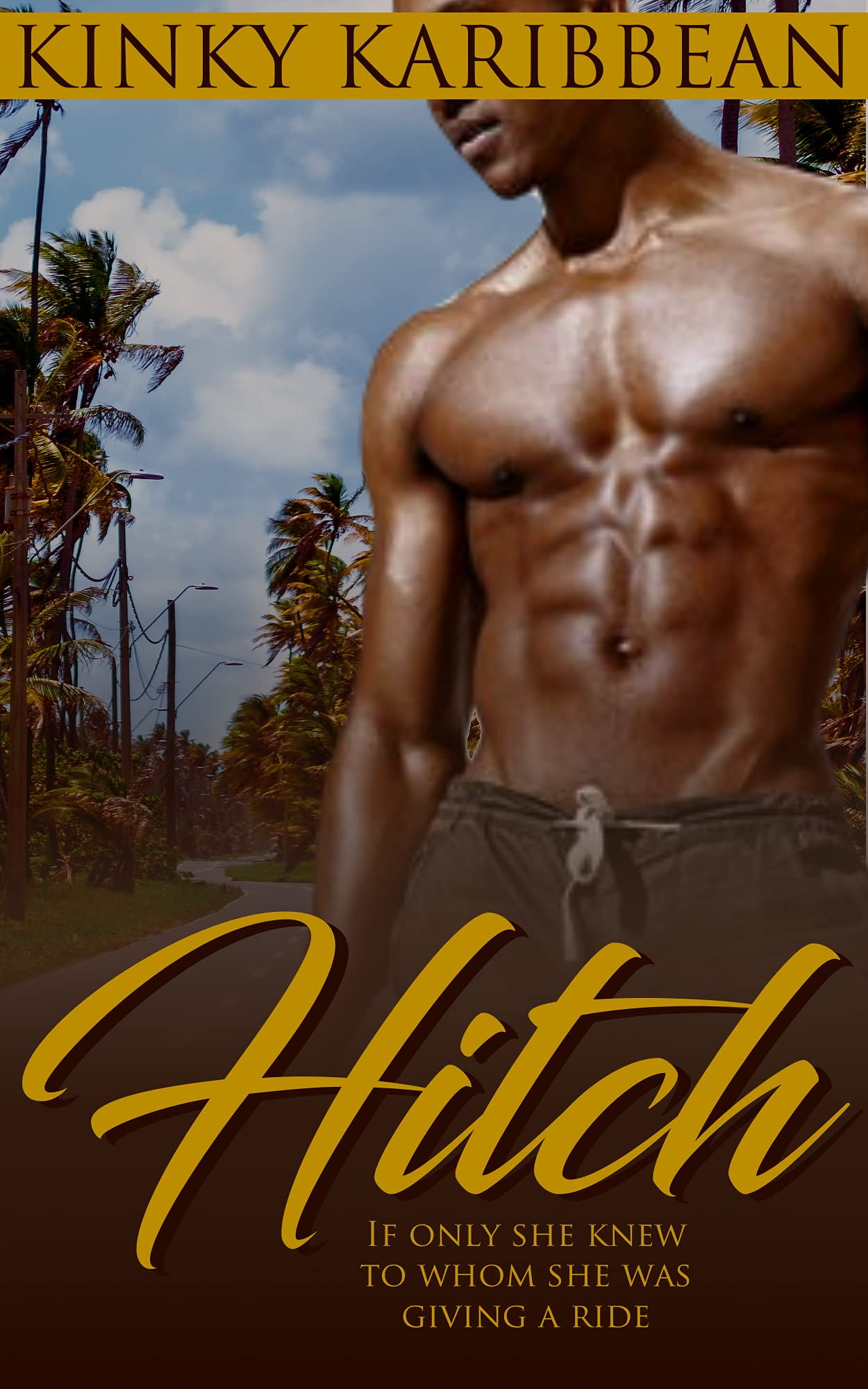 Hitch: African American Erotic Short Story