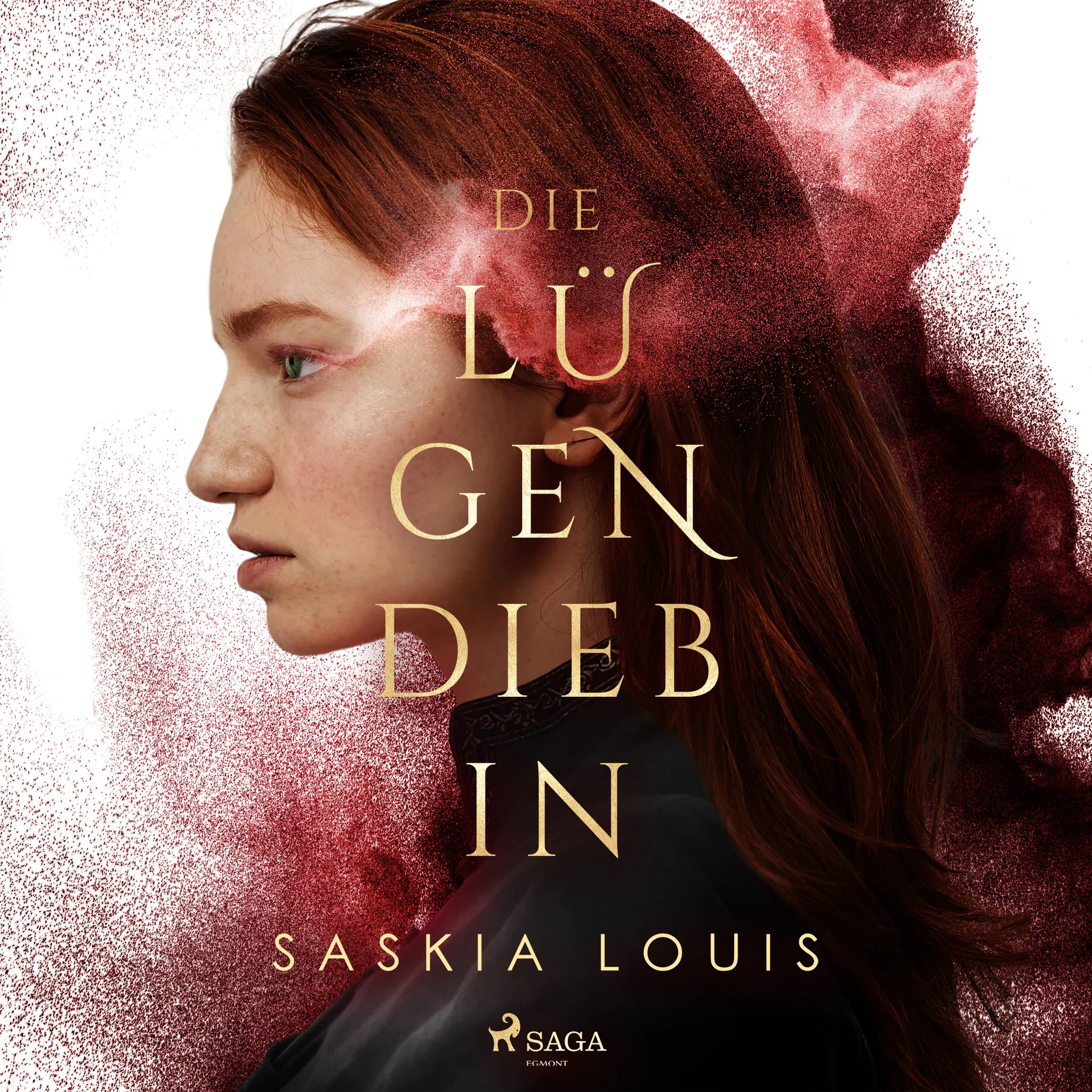 Die Lügendiebin book cover