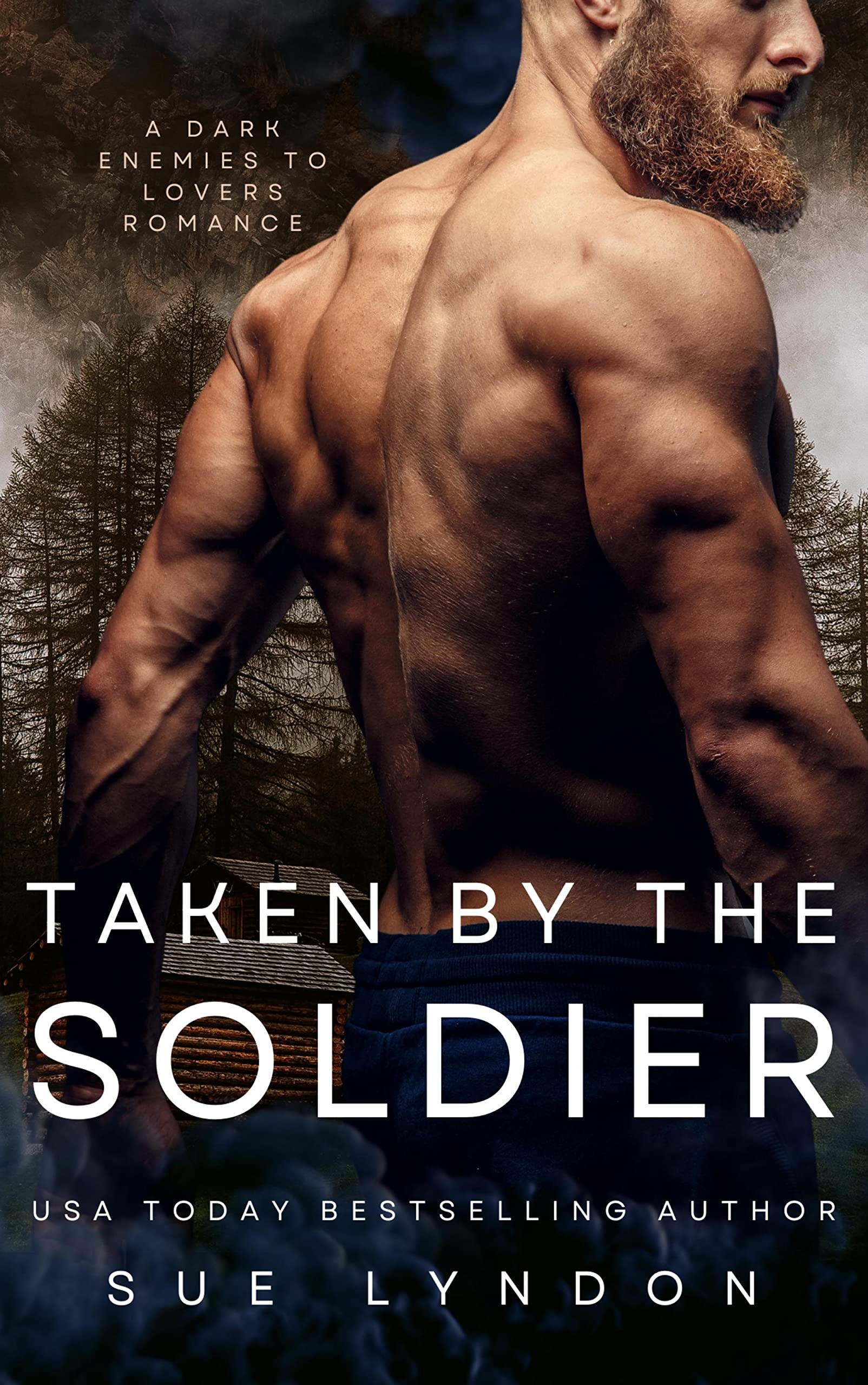 Taken by the Soldier book cover