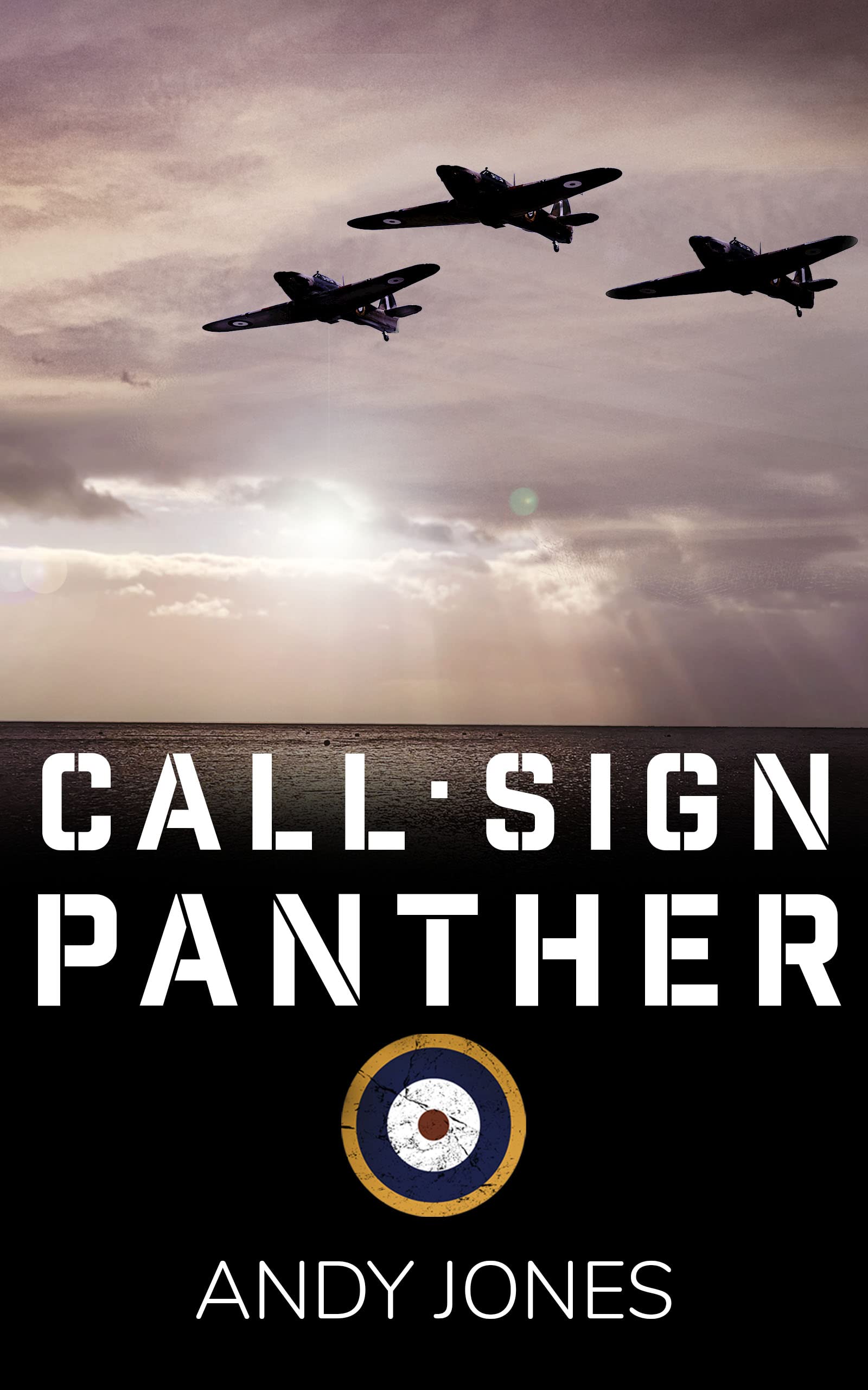 Call Sign Panther book cover