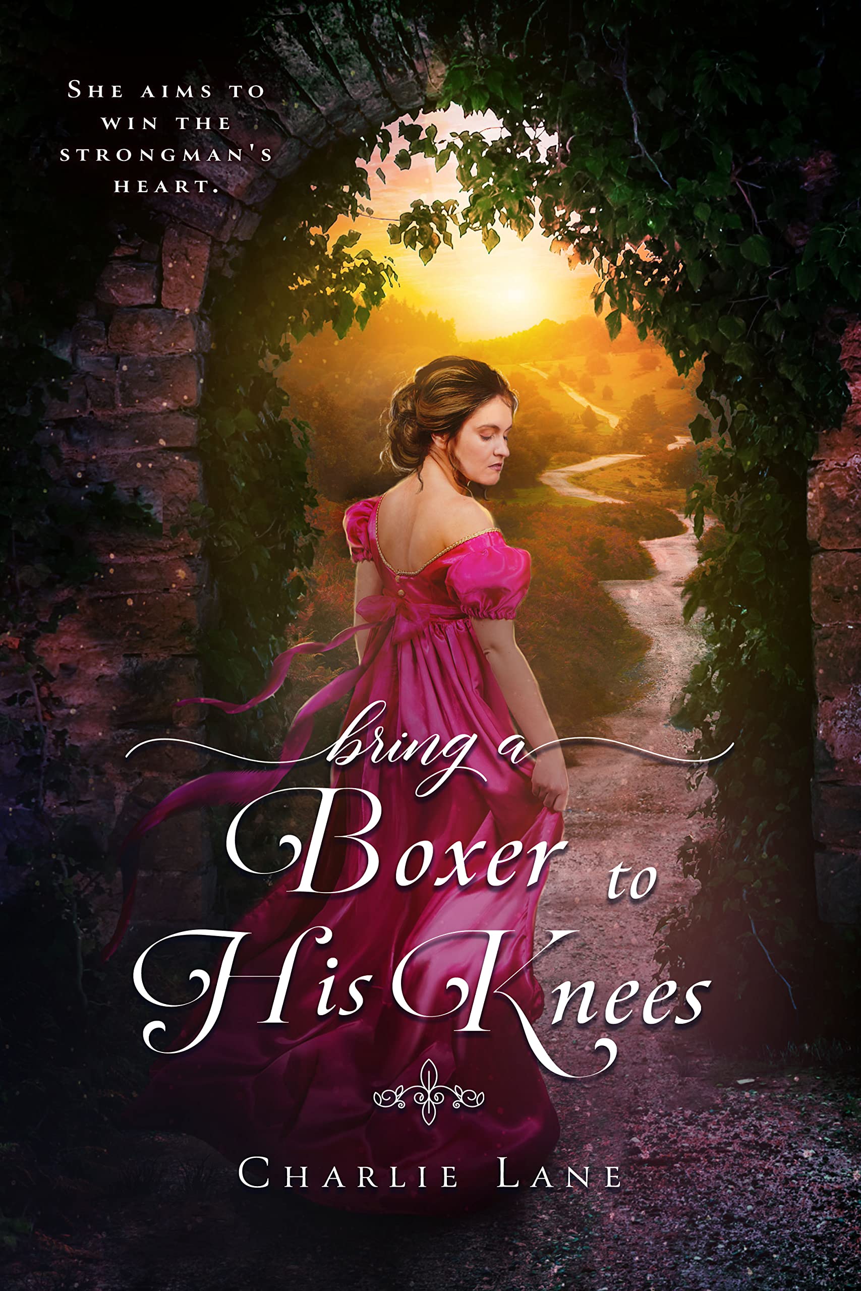 Bring a Boxer to His Knees book cover