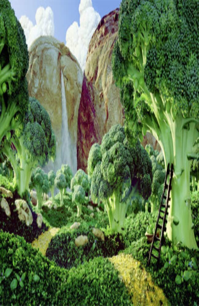 Gardening Coffee Table Book by Promise Land Farms Goodreads