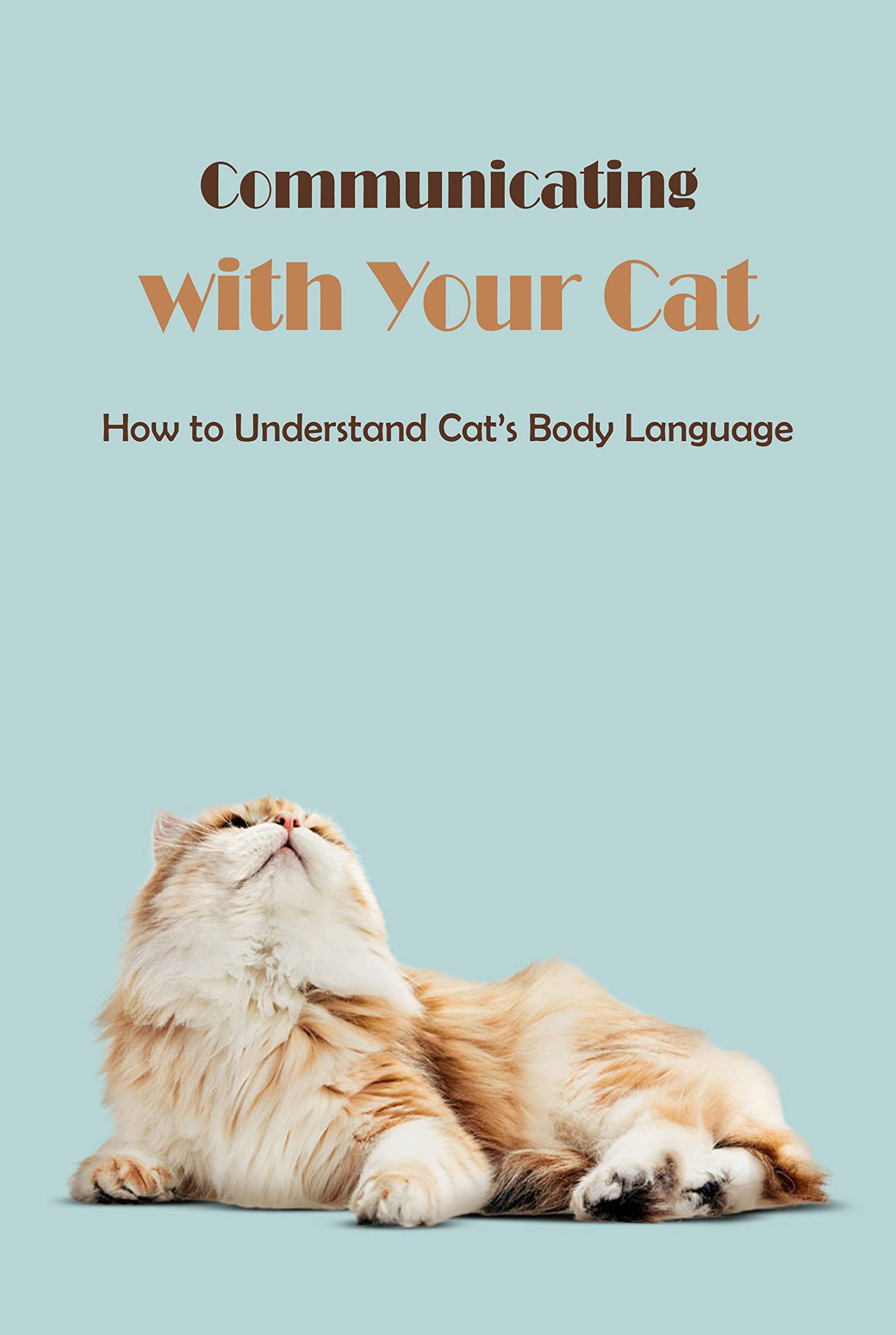 Communicating with Your Cat How to Understand Cat’s Body Language Understanding Cat Behavior