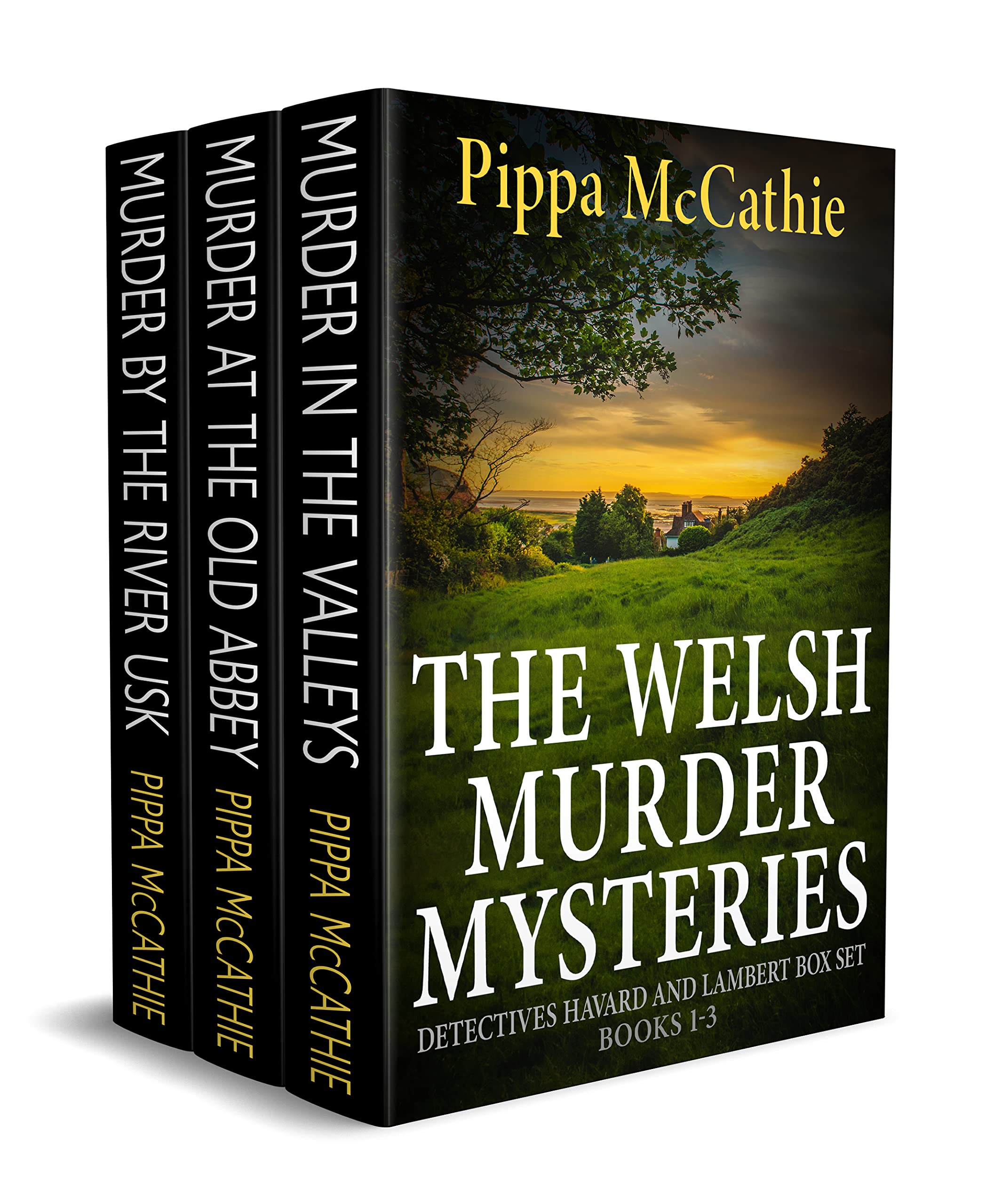 THE WELSH MURDER MYSTERIES: Detectives Havard and Lambert box set