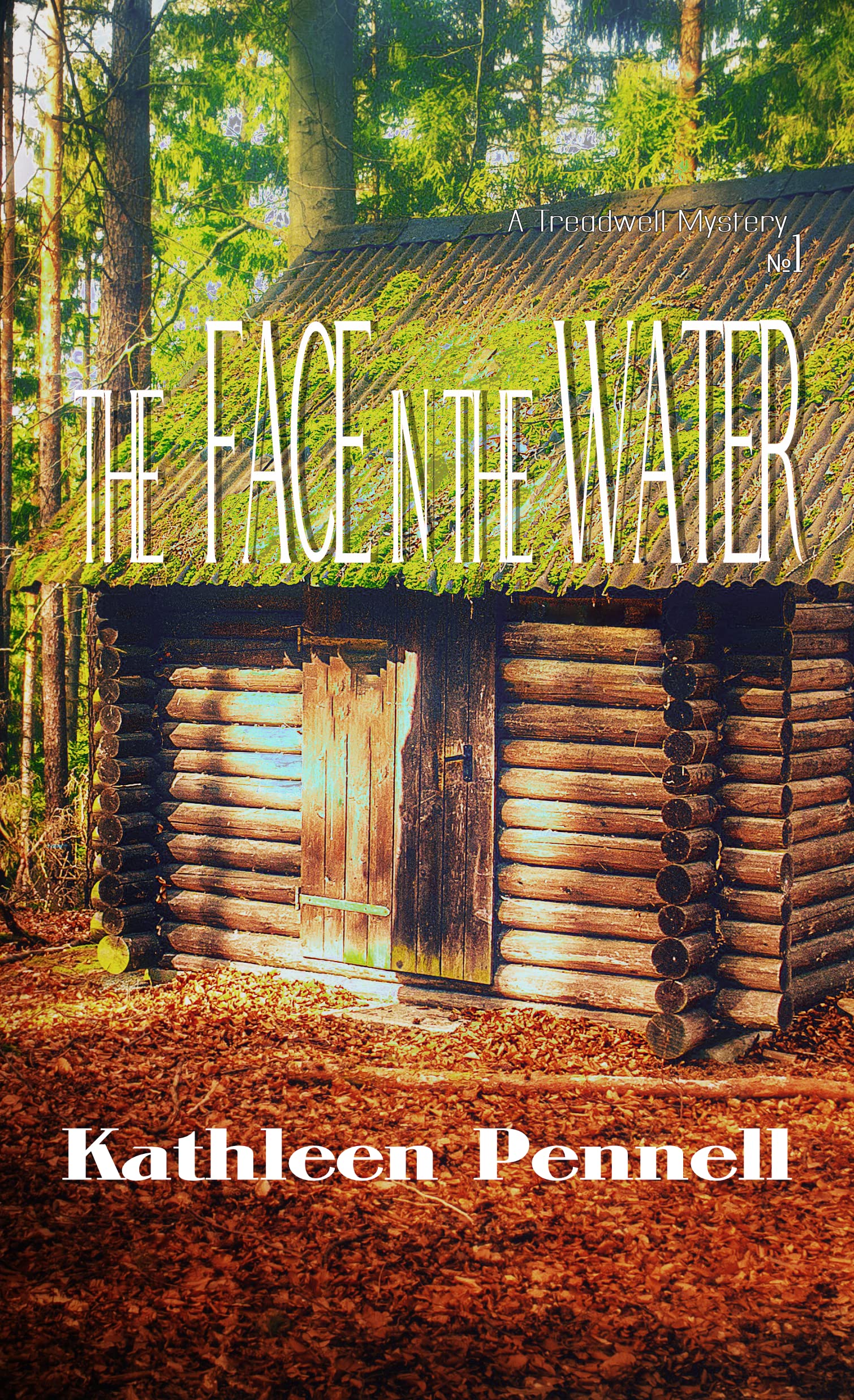 The Face in the Water: A Treadwell Mystery #1