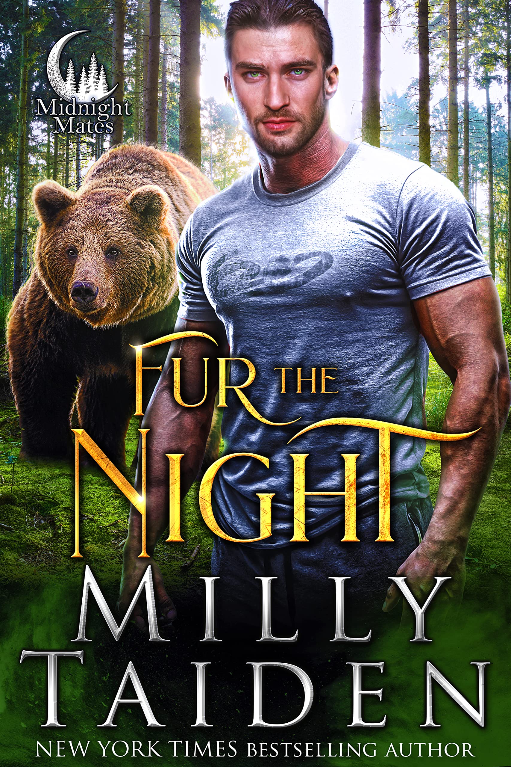 Fur the Night book cover