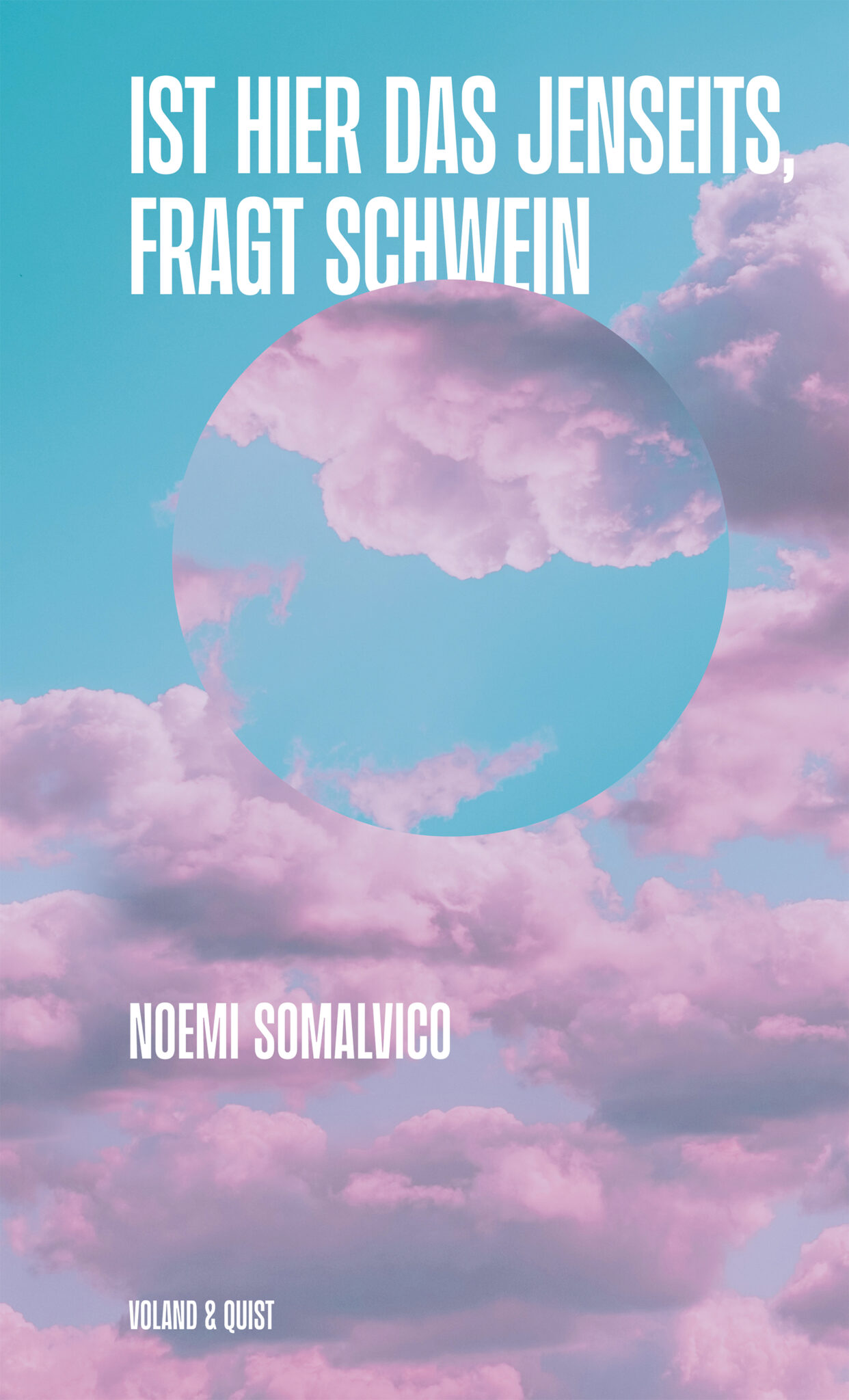 Ist hier das Jenseits, fragt Schwein