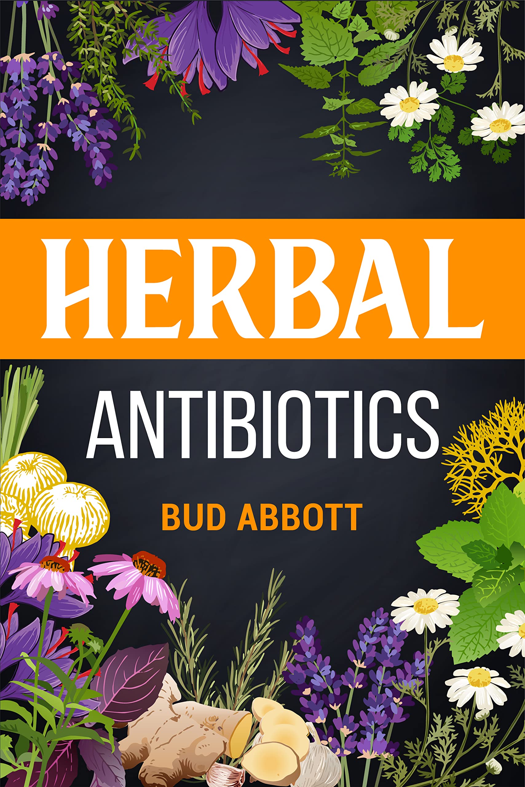 Herbal Antibiotics Learn the Secrets of Natural Remedies Using